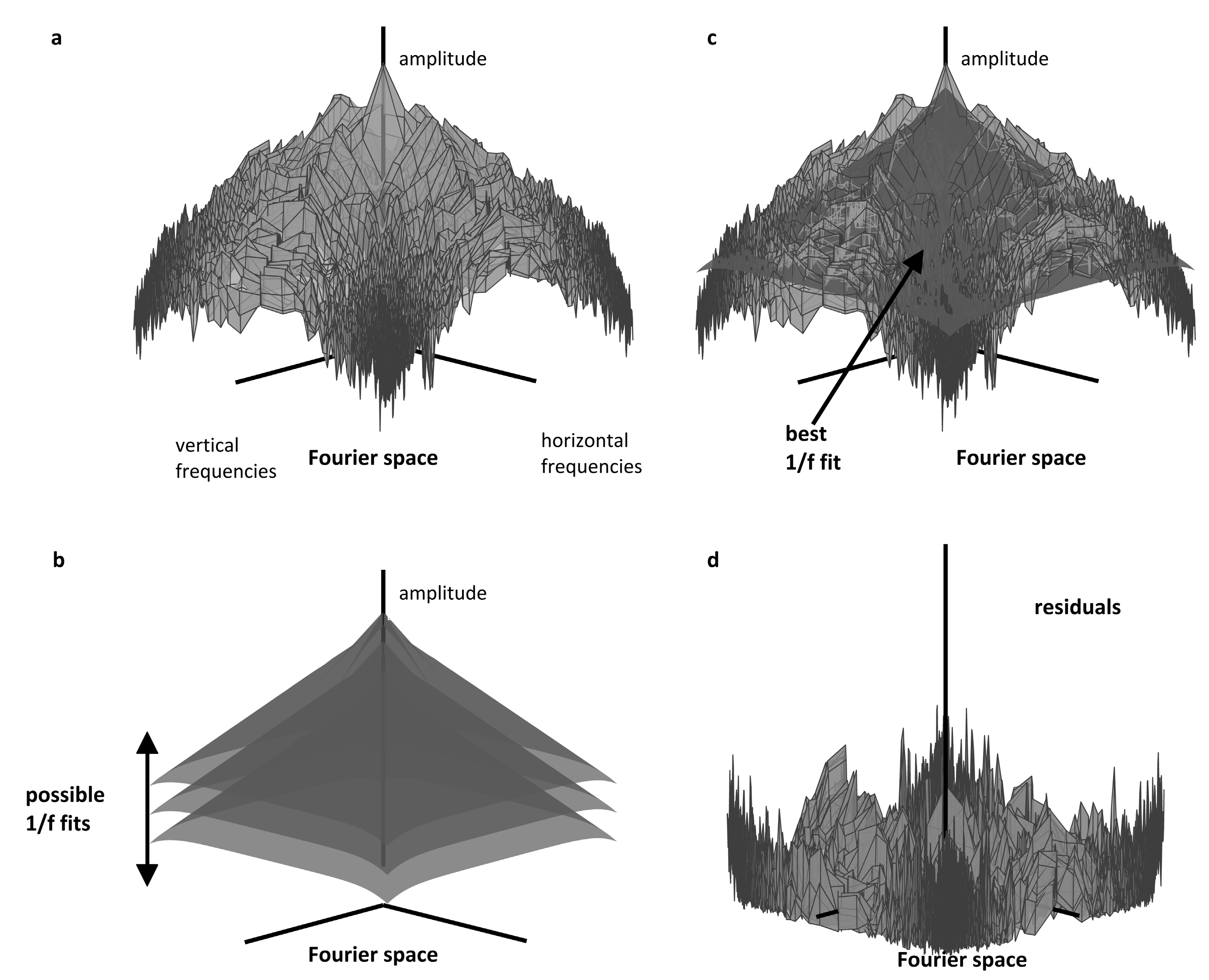 Vision 04 00018 g006 Vision 04 00018 g006
