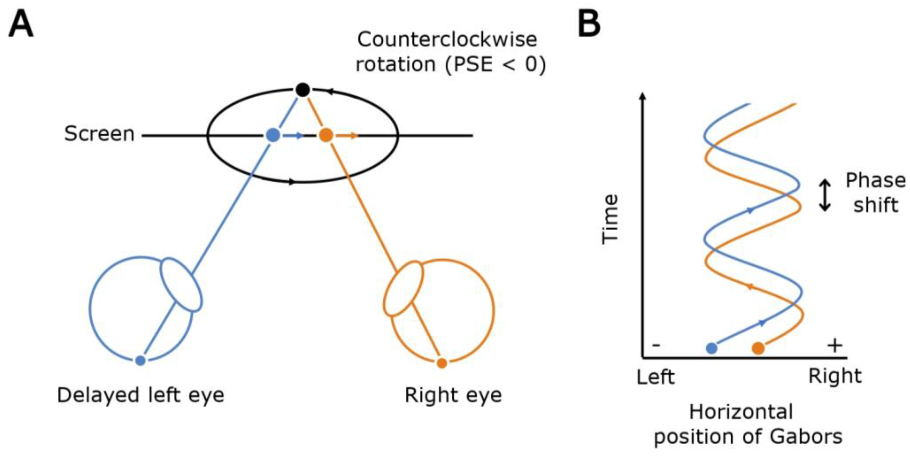 Vision 04 00020 g001 Vision 04 00020 g001