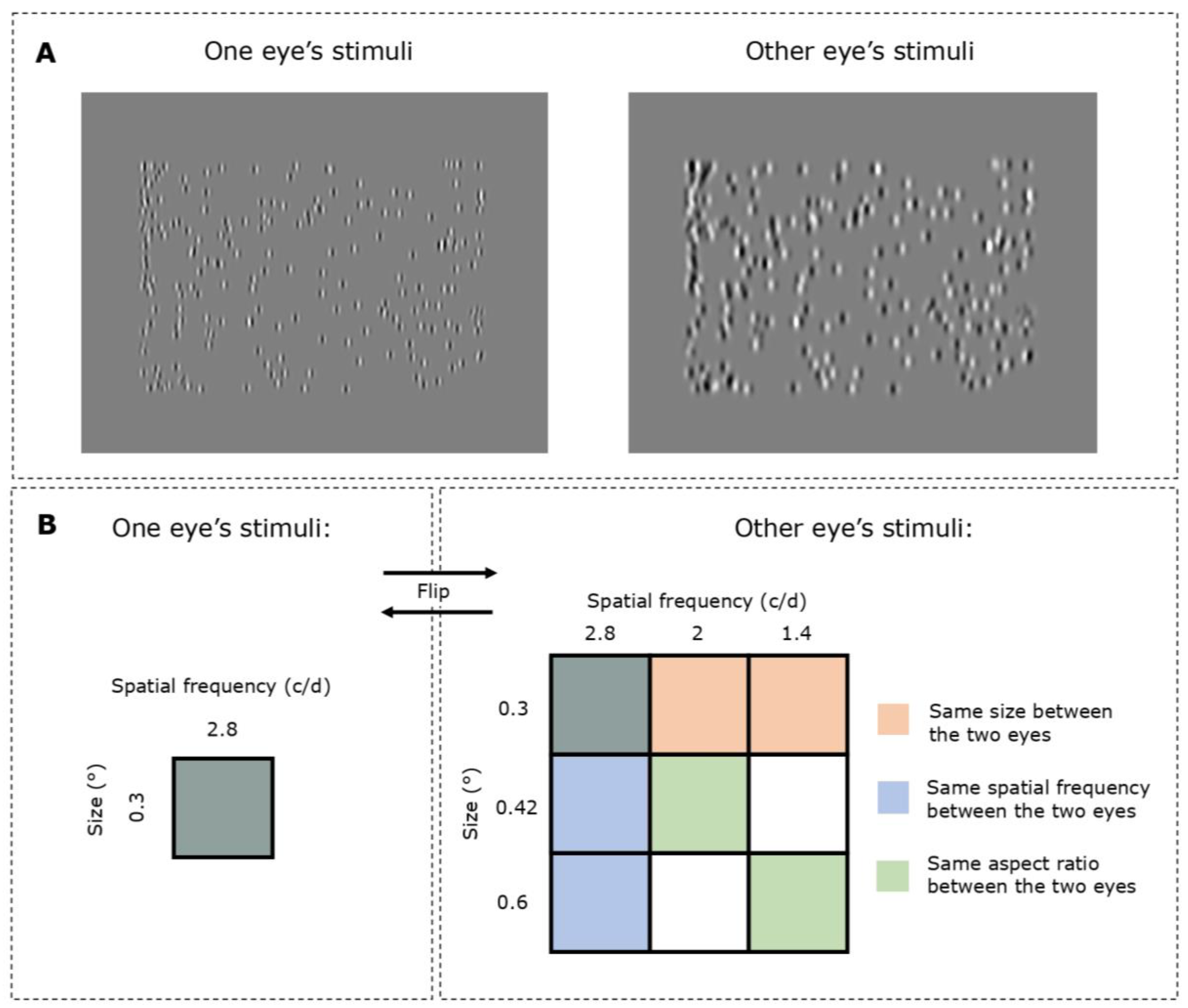 Vision 04 00020 g002 Vision 04 00020 g002