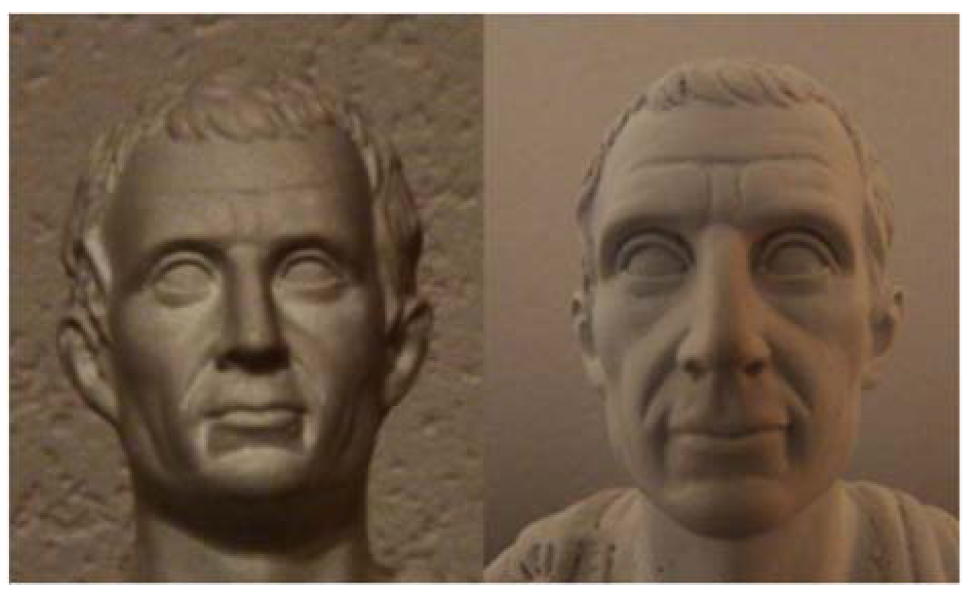 Vision 04 00021 g001 Vision 04 00021 g001