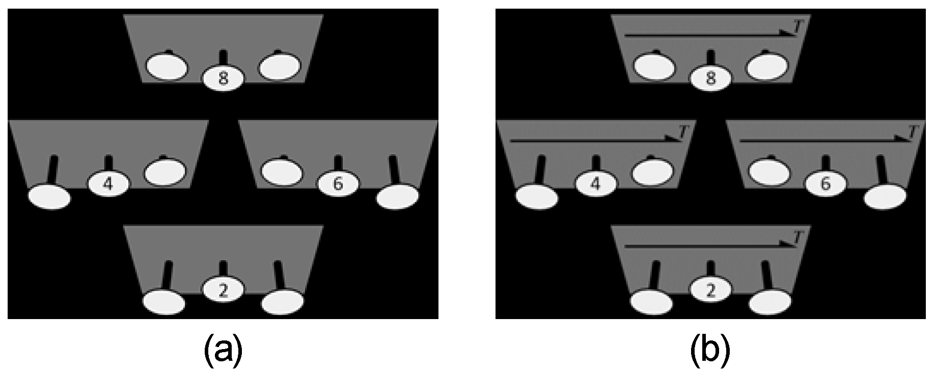 Vision 04 00021 g006 Vision 04 00021 g006