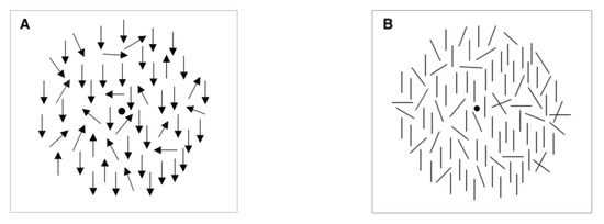 Vision Free Full Text Tracking The Migraine Cycle Using Visual Tasks Html