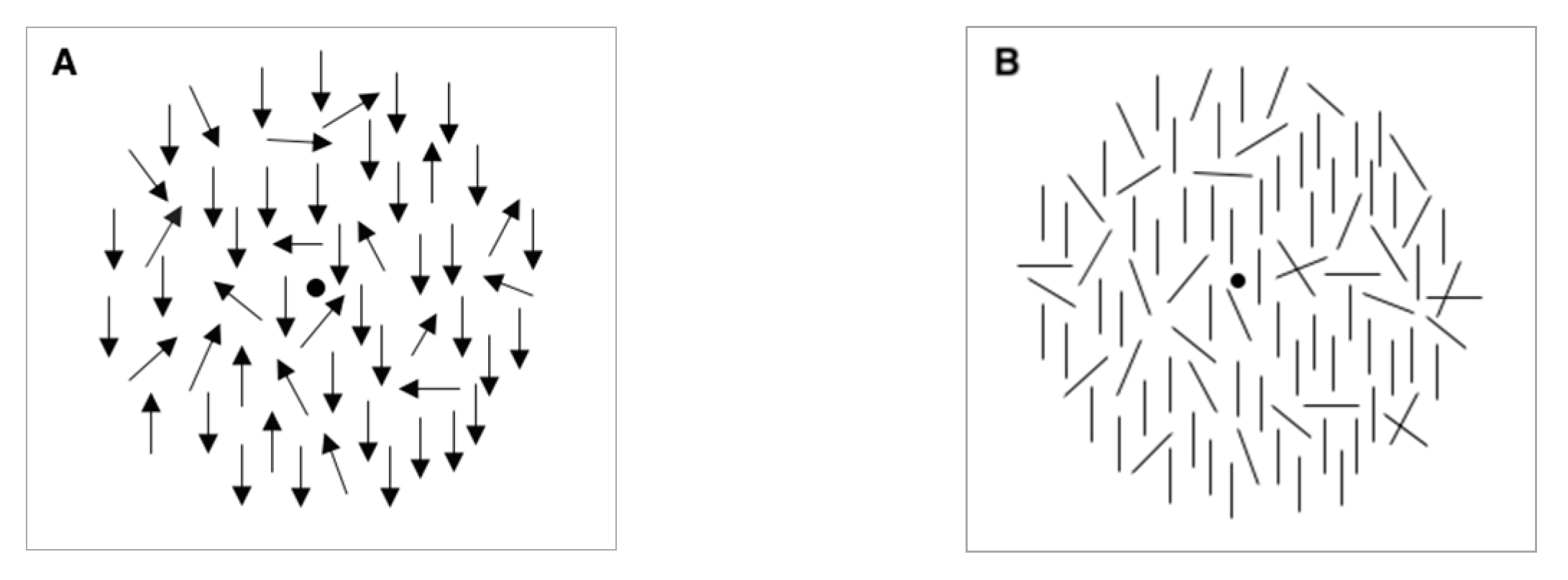 Vision 04 00023 g001