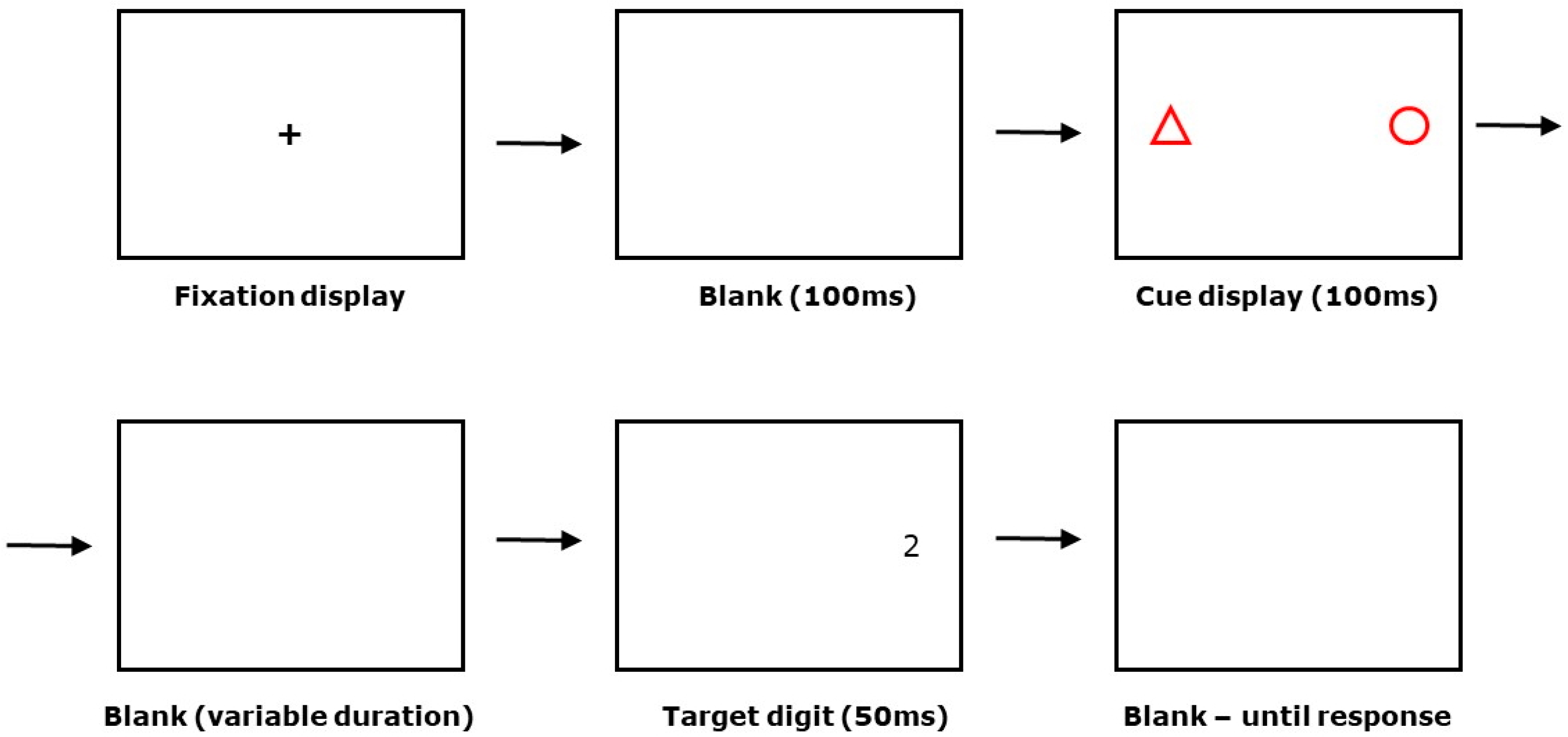 Vision 04 00026 g001