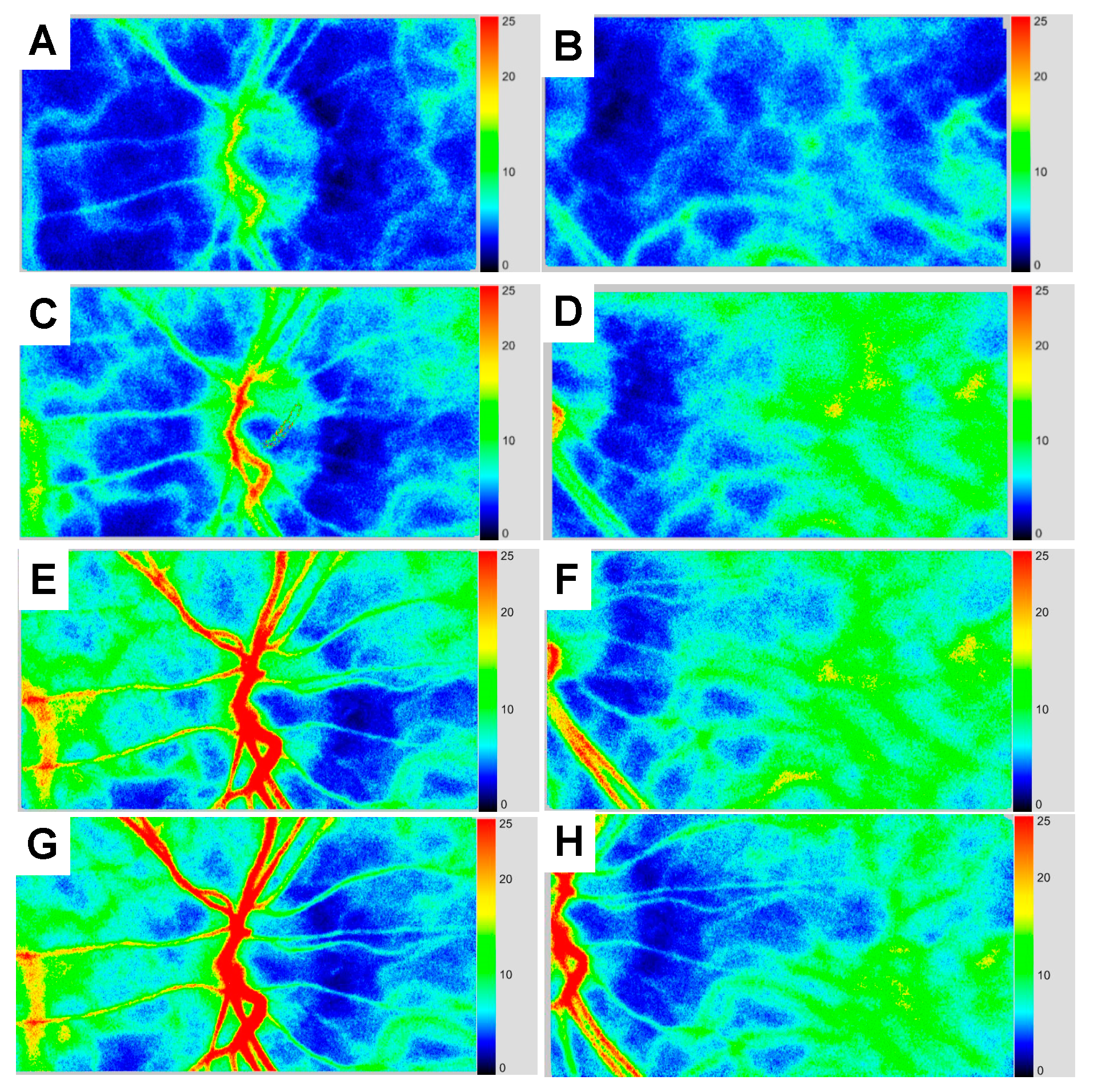 Vision 04 00031 g003