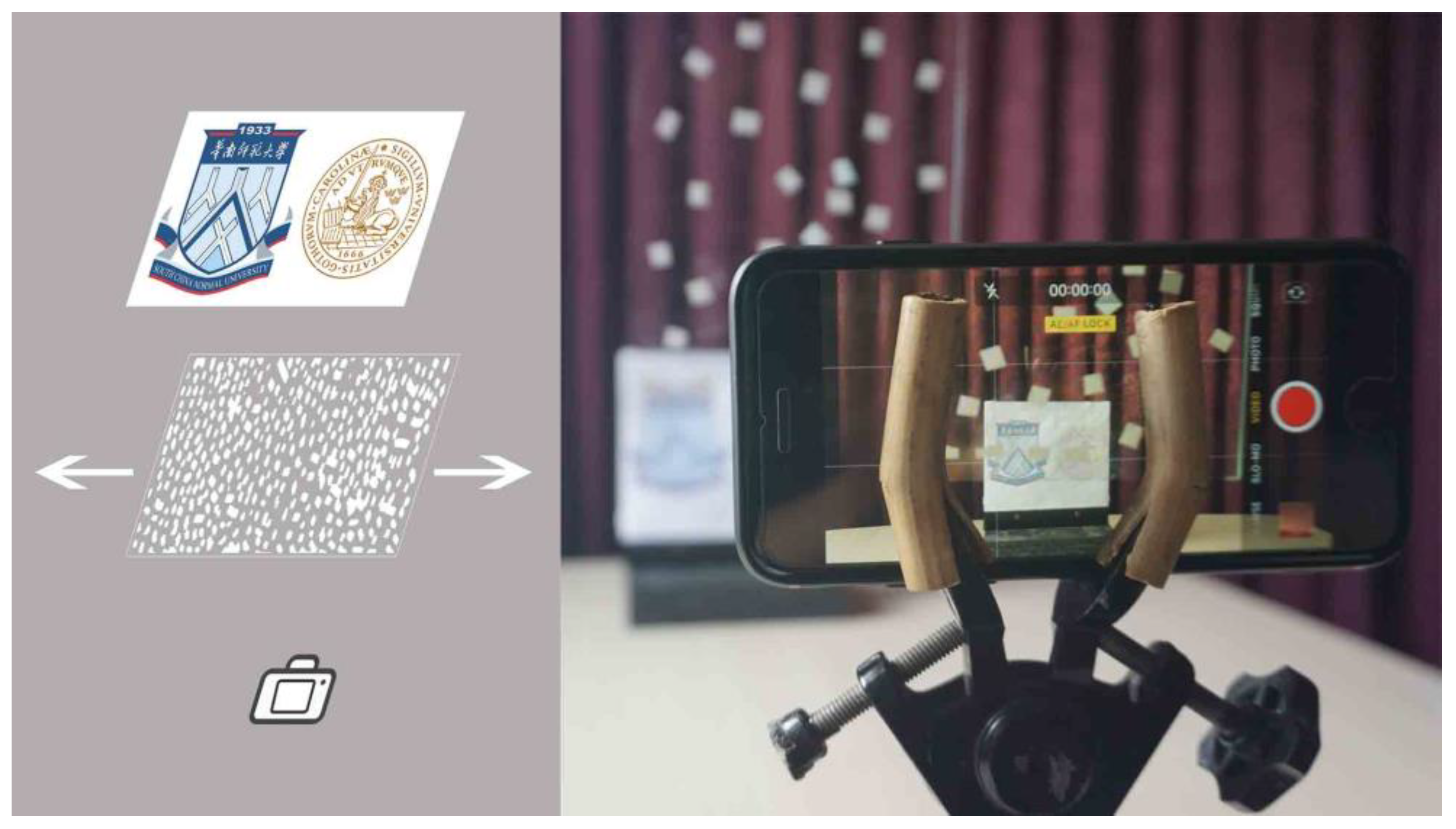 Vision 04 00037 g003