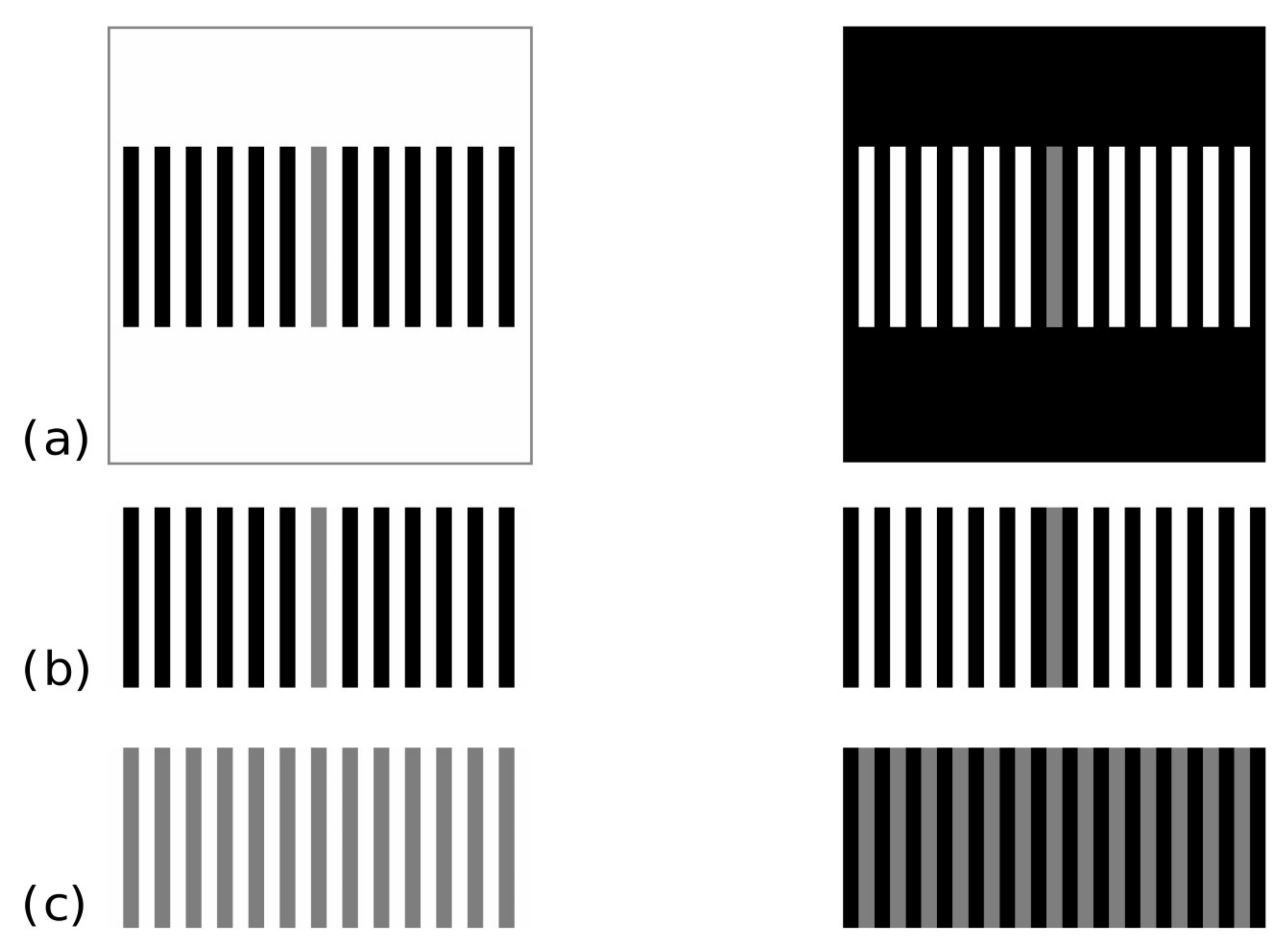 Vision 04 00047 g001 Vision 04 00047 g001