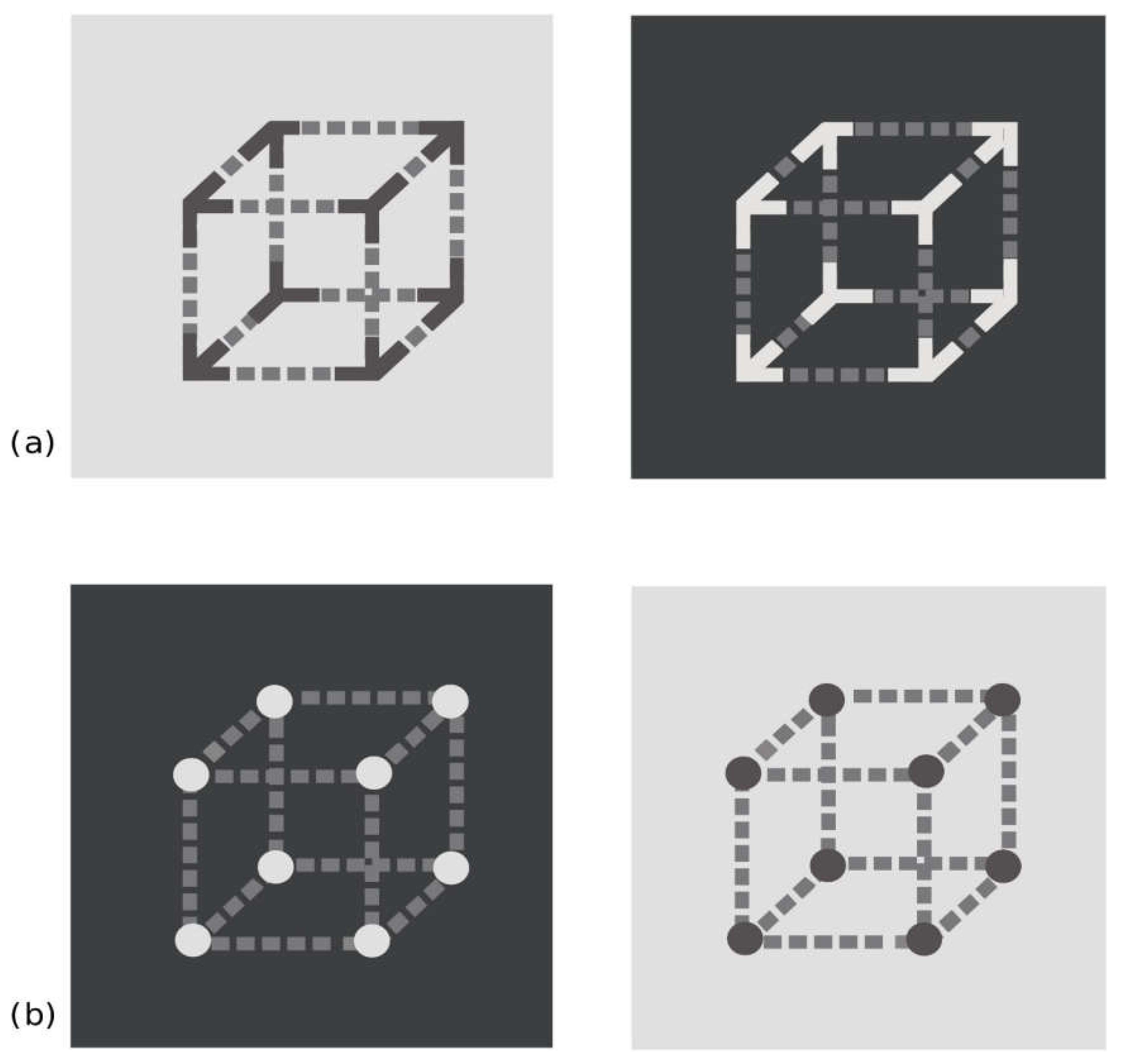 Vision 04 00047 g002 Vision 04 00047 g002