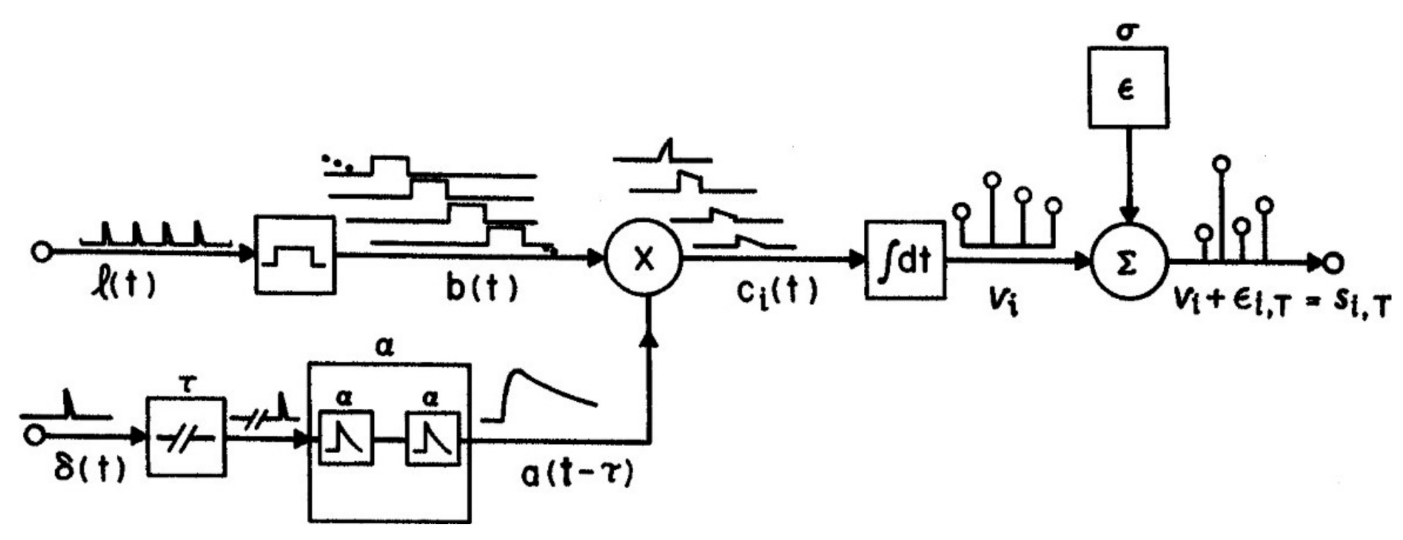 Vision 04 00048 g002