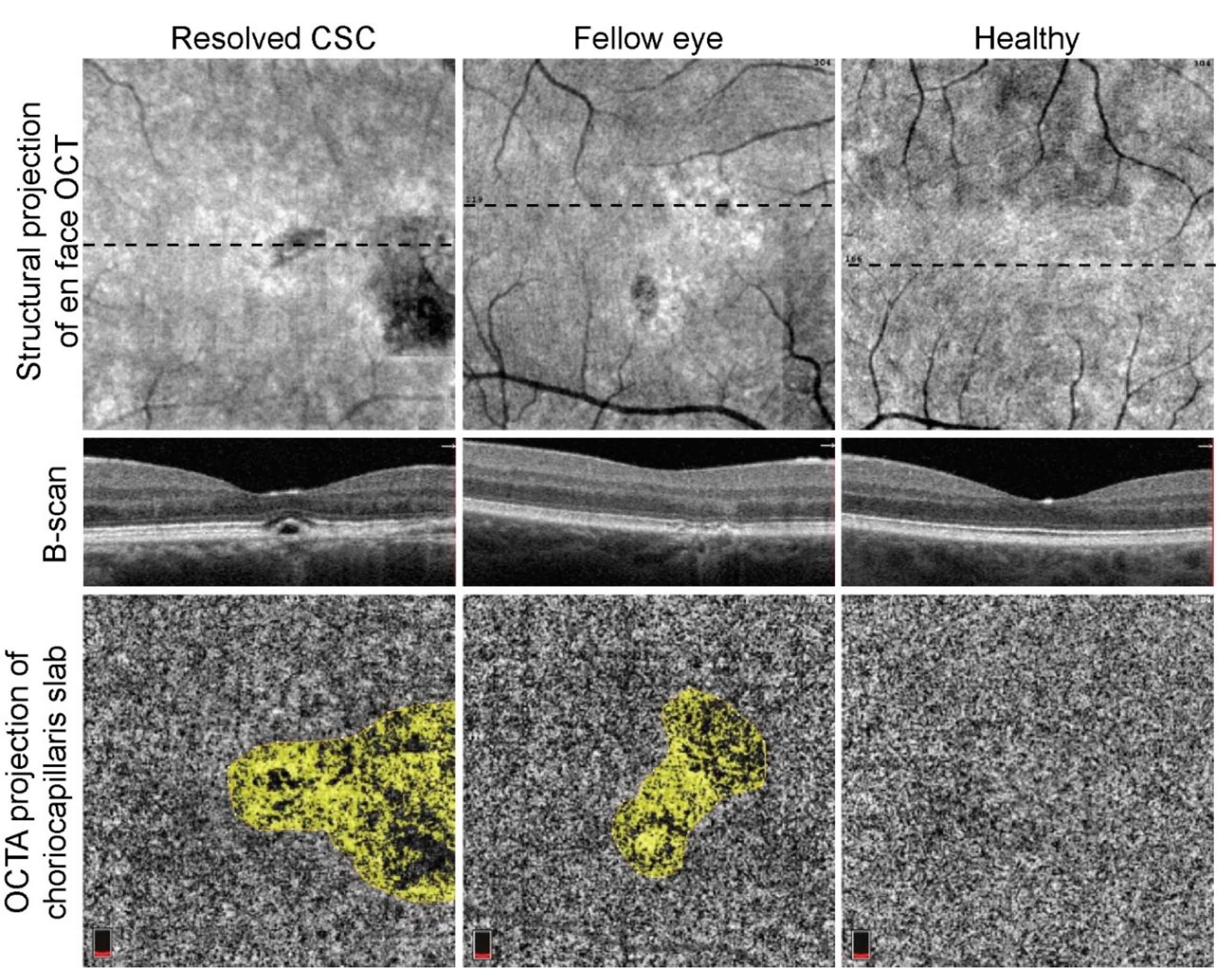 Vision 05 00003 g001