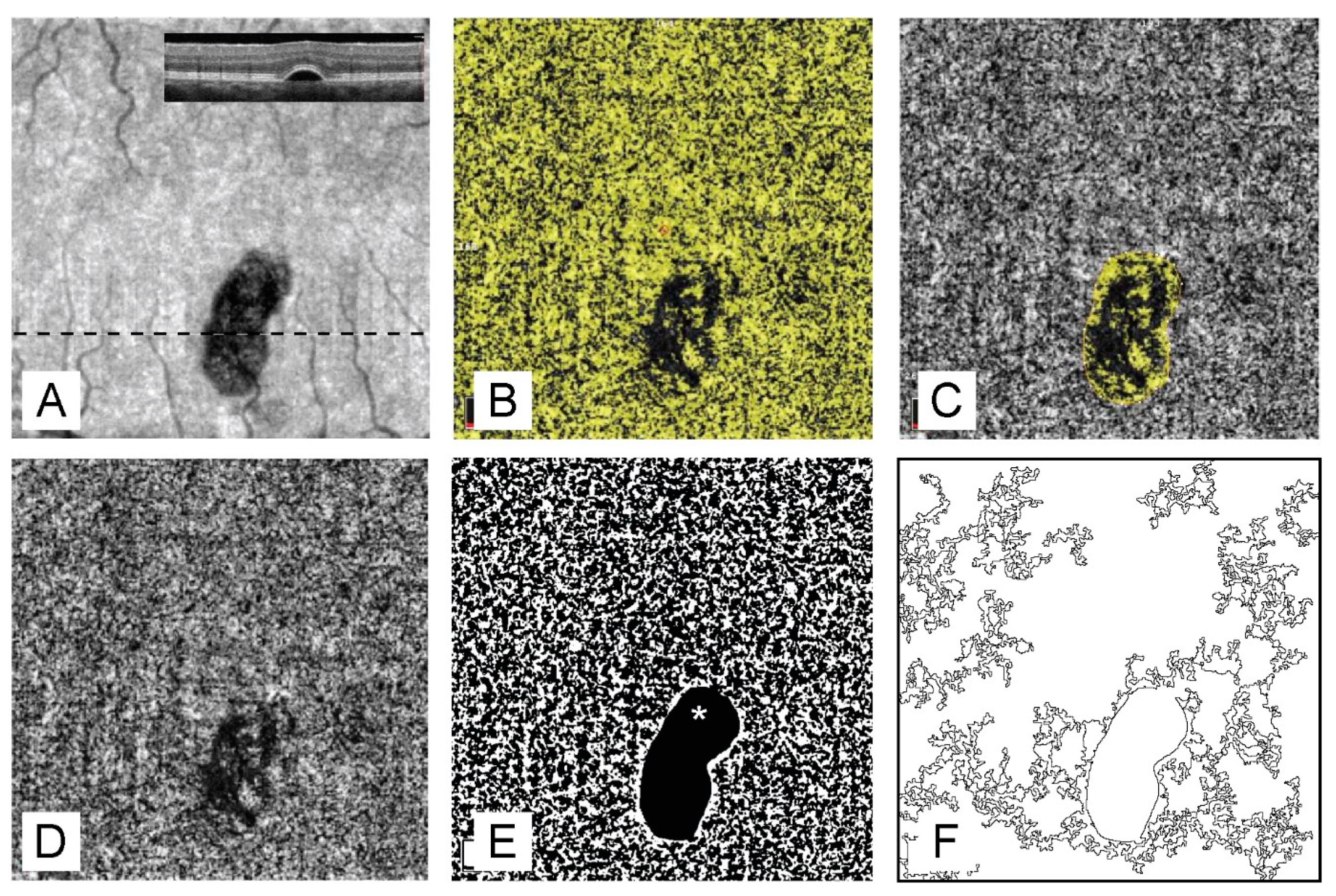 Vision 05 00003 g002