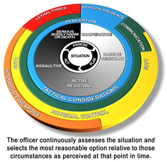 Vision Free FullText Critical Review of Visual Models for Police
