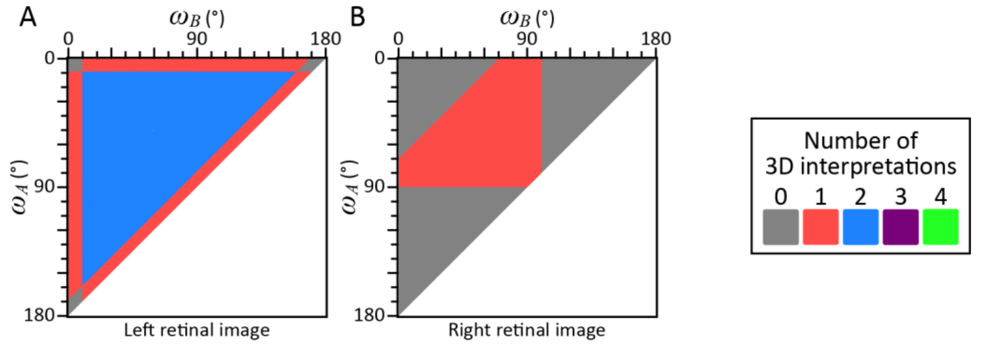 Vision 05 00010 g003