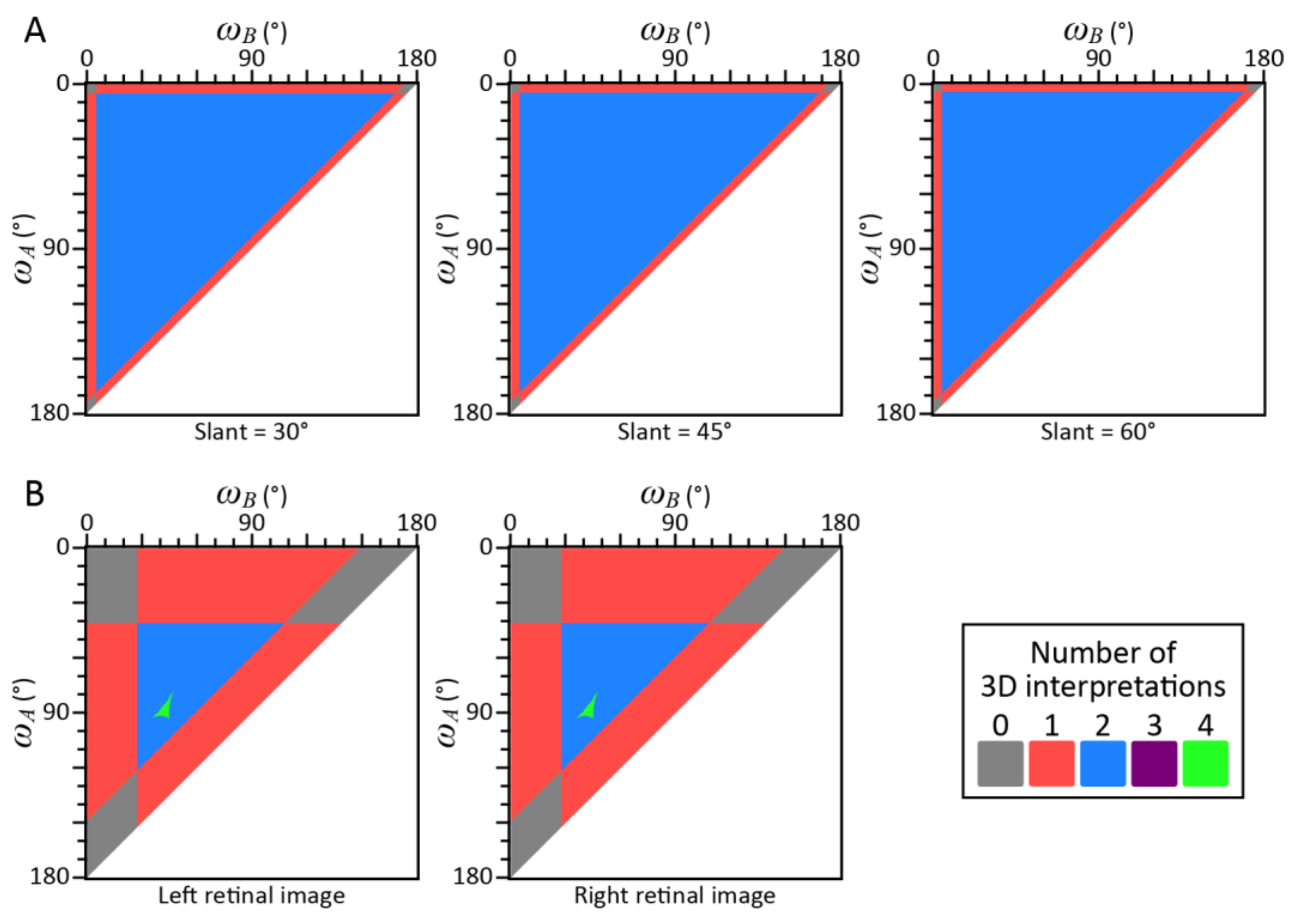 Vision 05 00010 g004