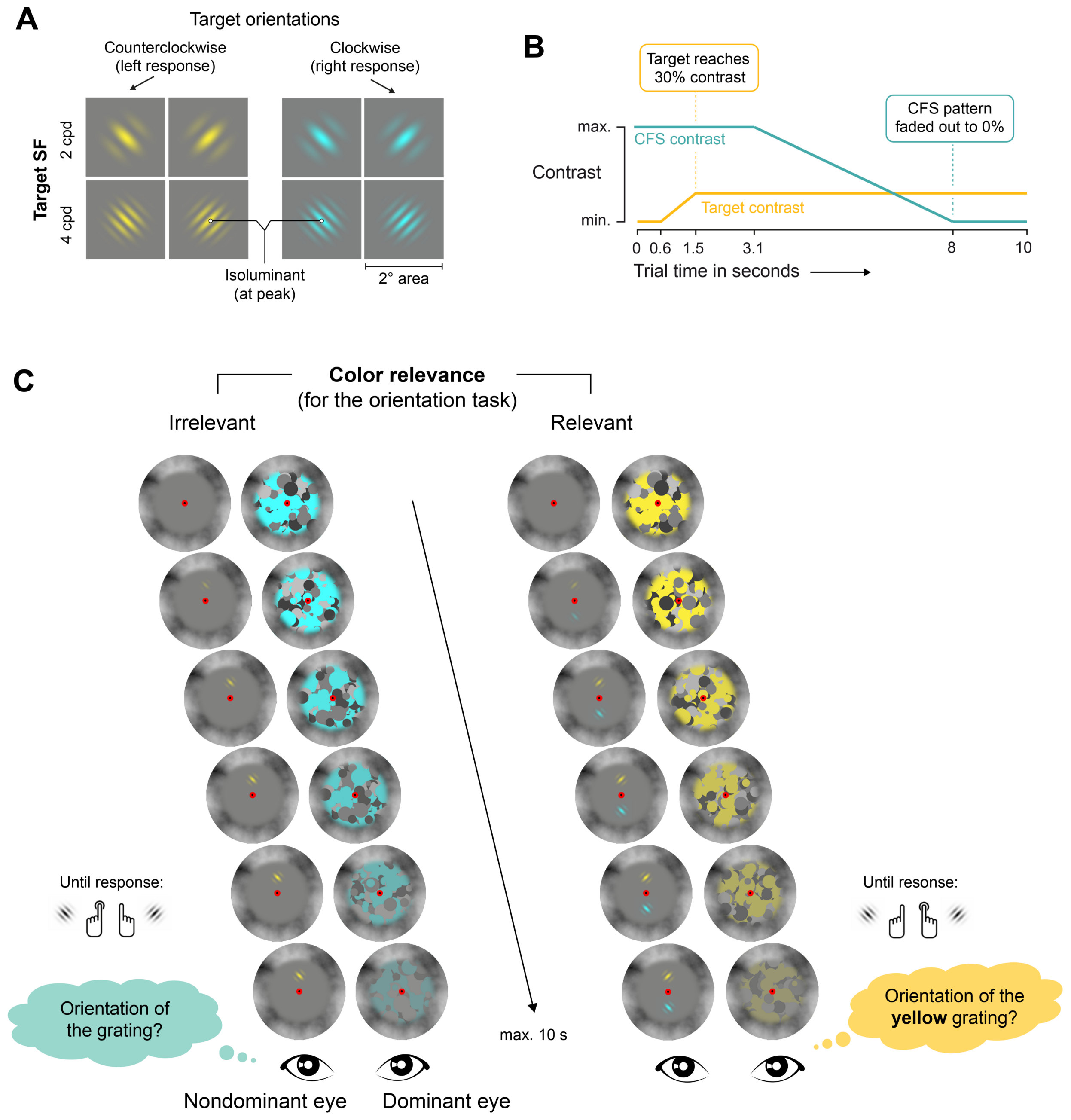 Vision 05 00013 g001 Vision 05 00013 g001