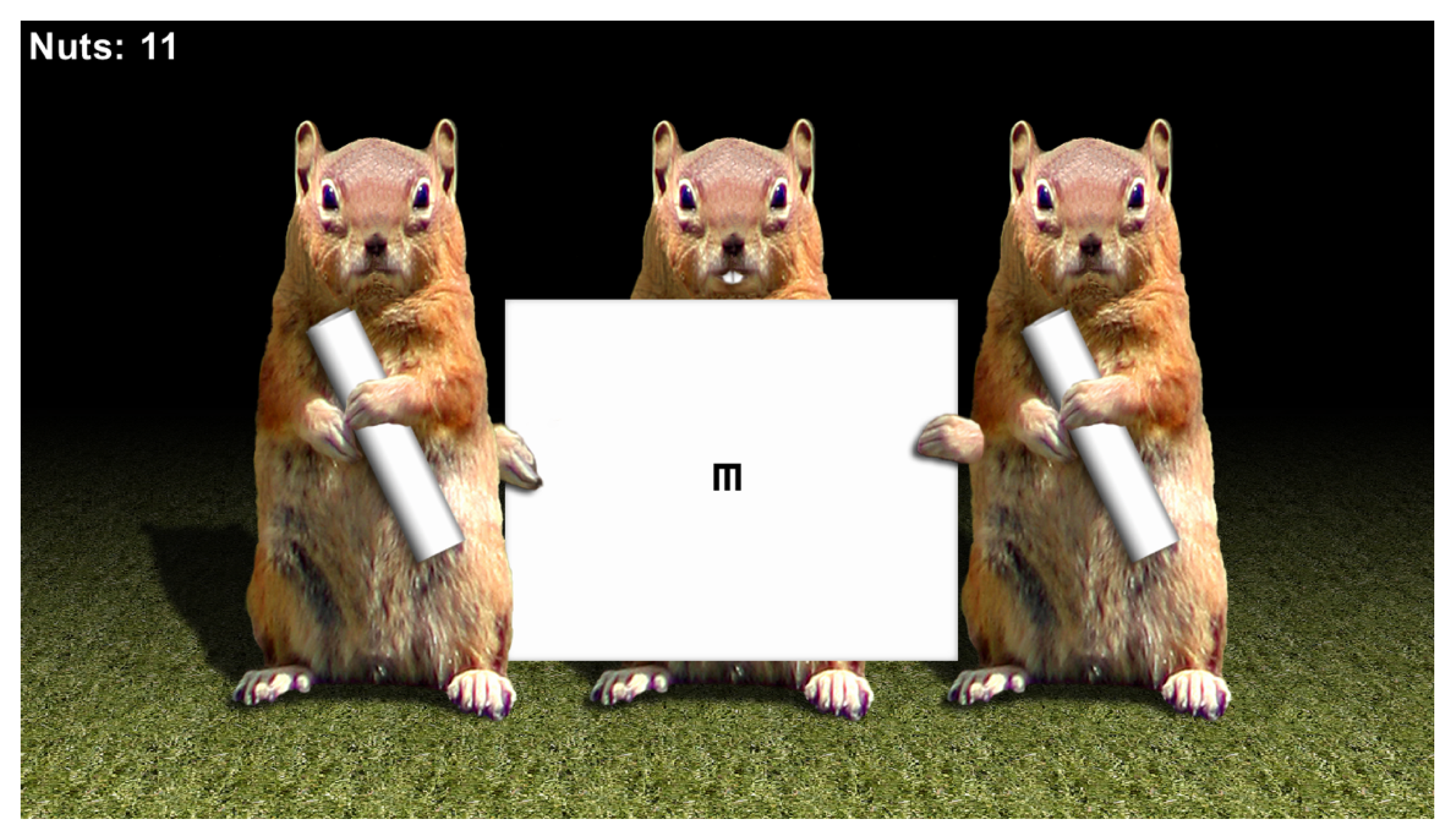 Vision 05 00015 g001