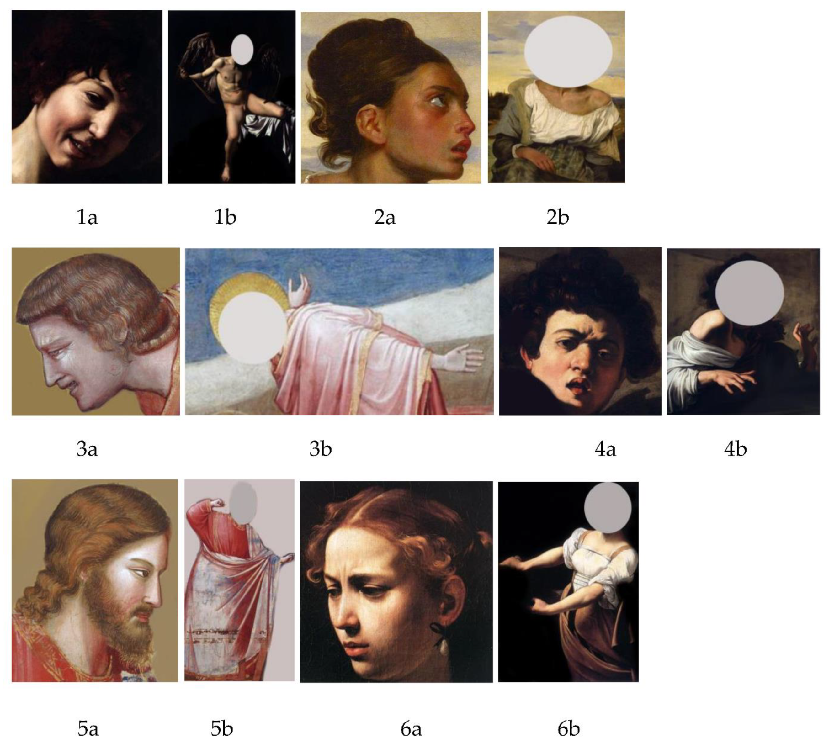 Vision 05 00017 g001a