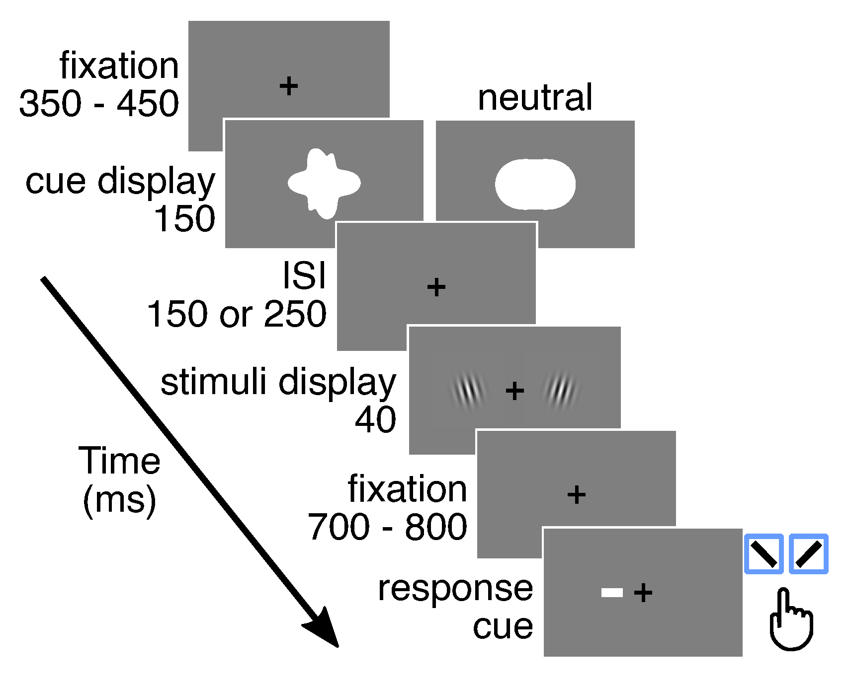 Vision 05 00018 g002 Vision 05 00018 g002
