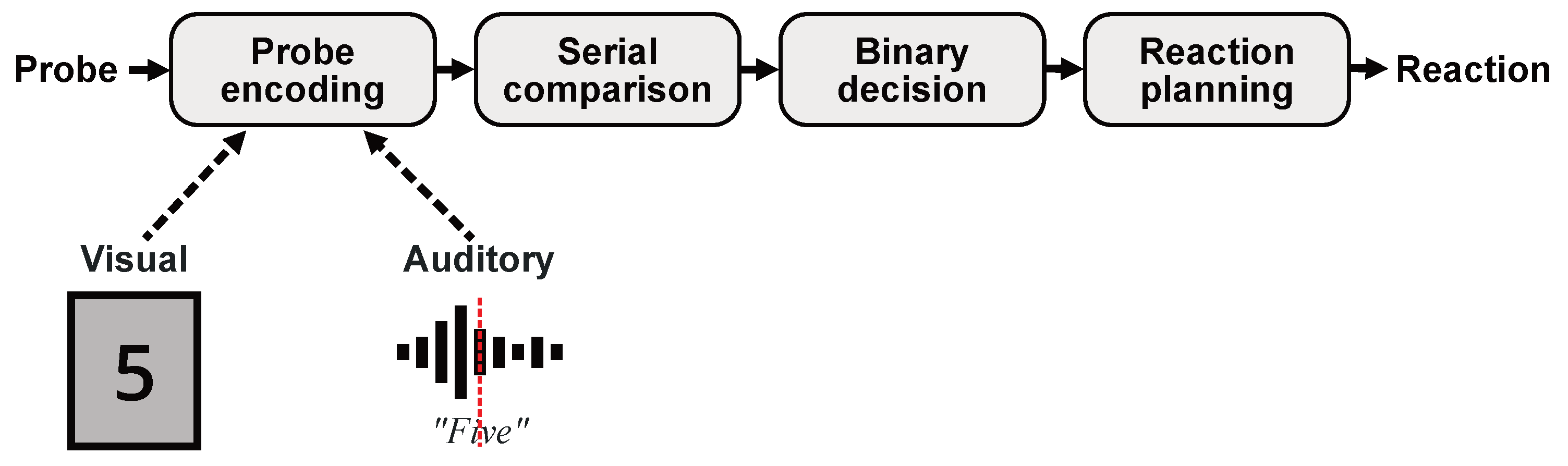 Vision 05 00021 g001