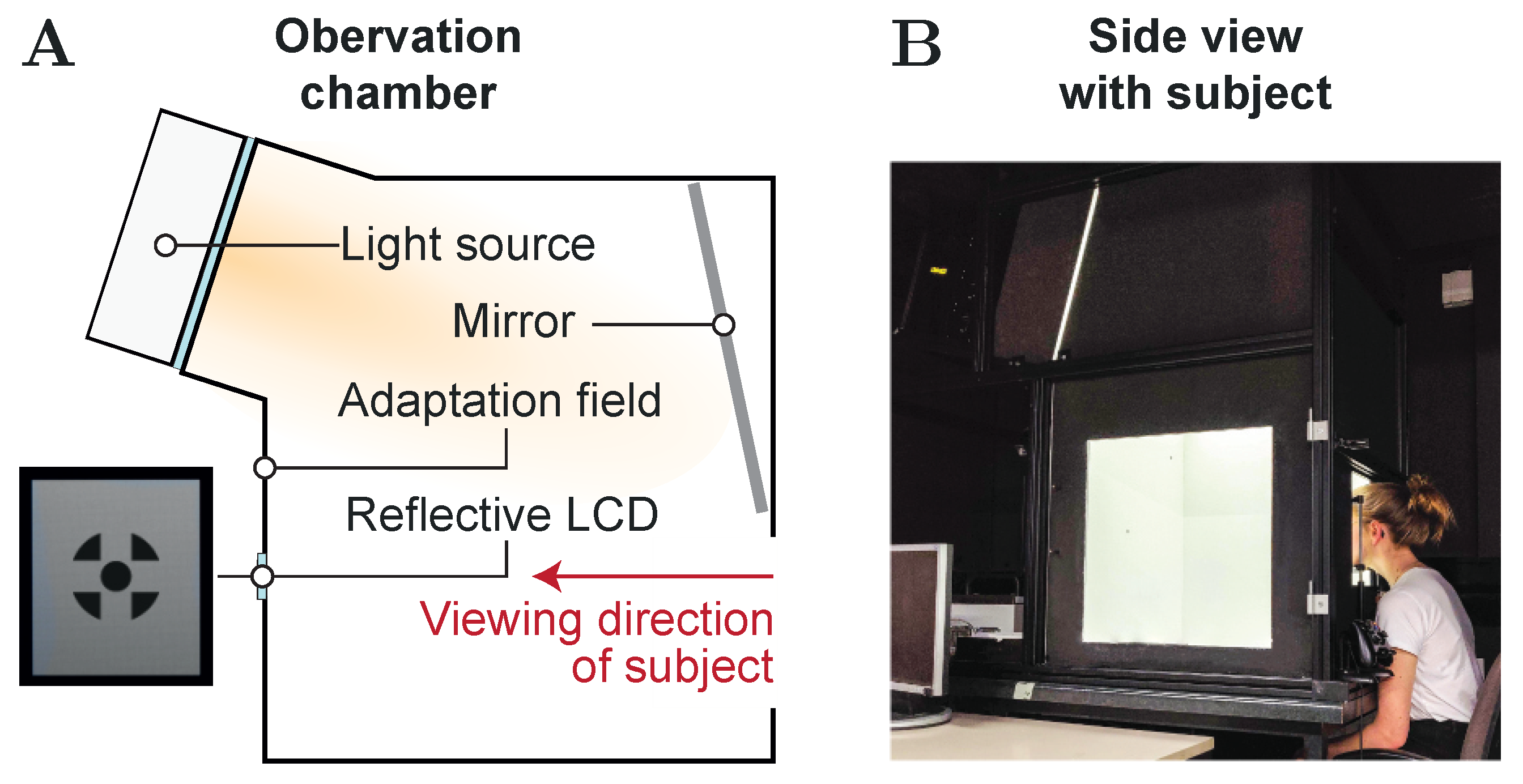 Vision 05 00021 g002