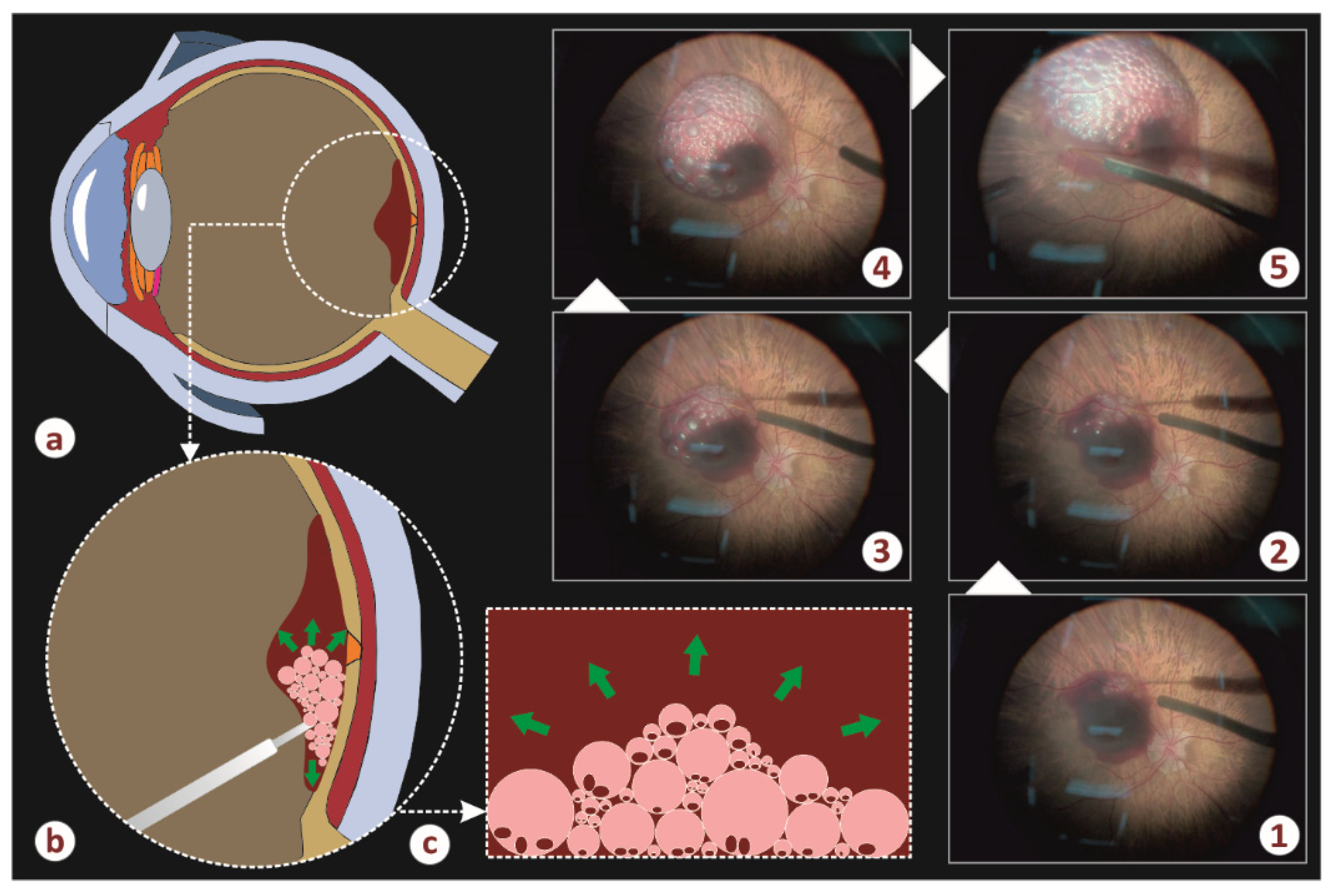 Vision 05 00023 g002
