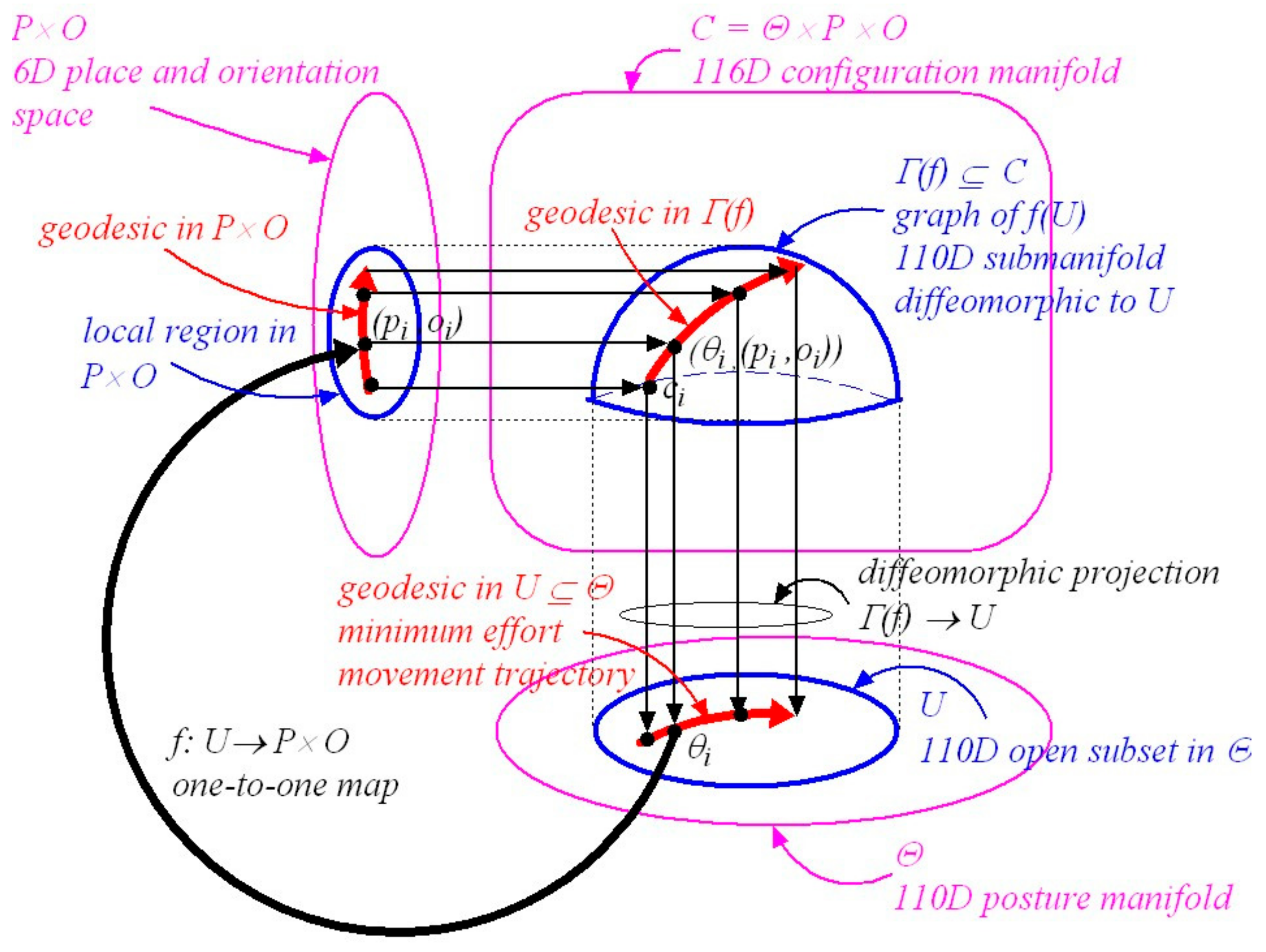 Vision 05 00026 g001 Vision 05 00026 g001