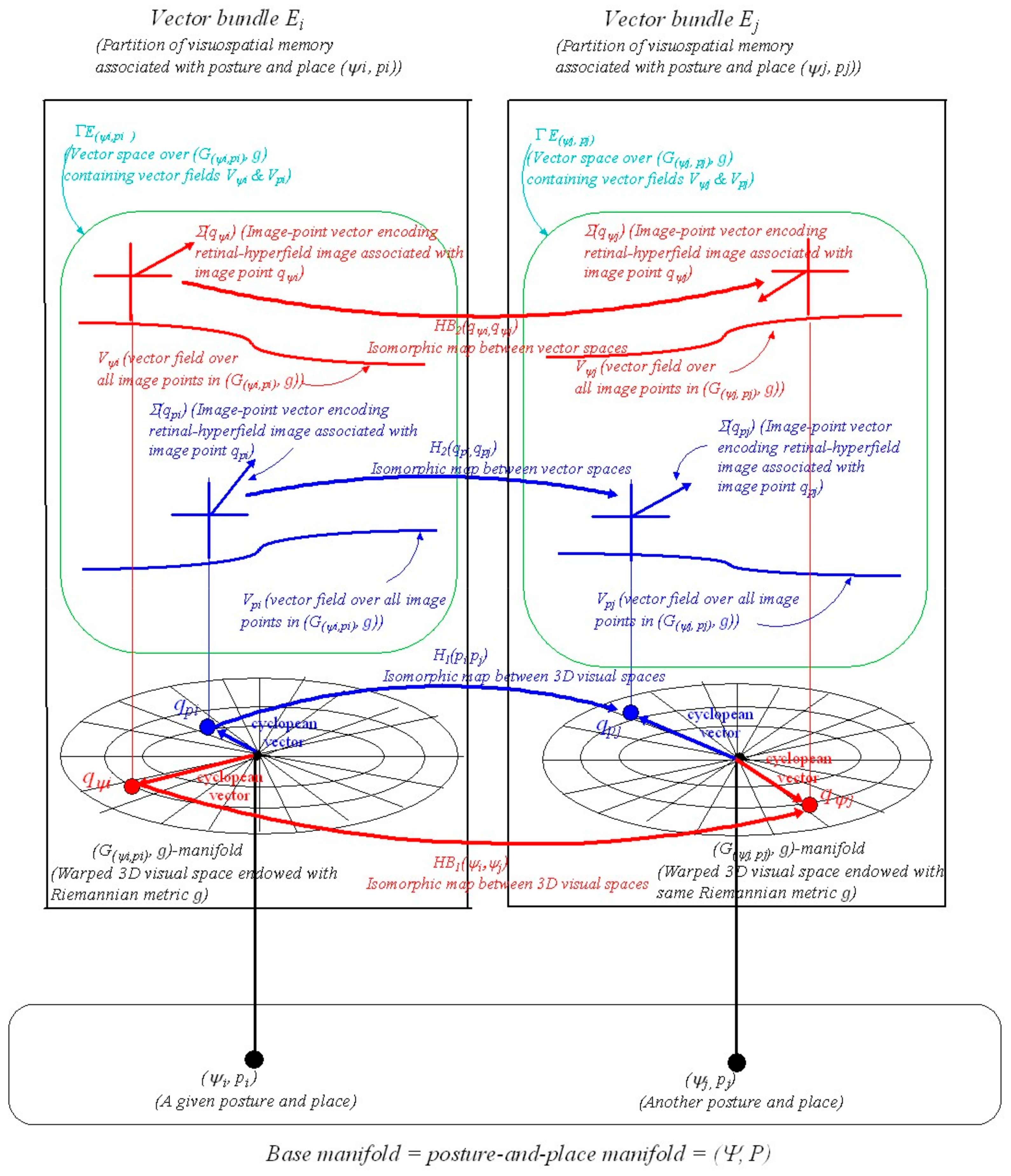 Vision 05 00026 g002 Vision 05 00026 g002