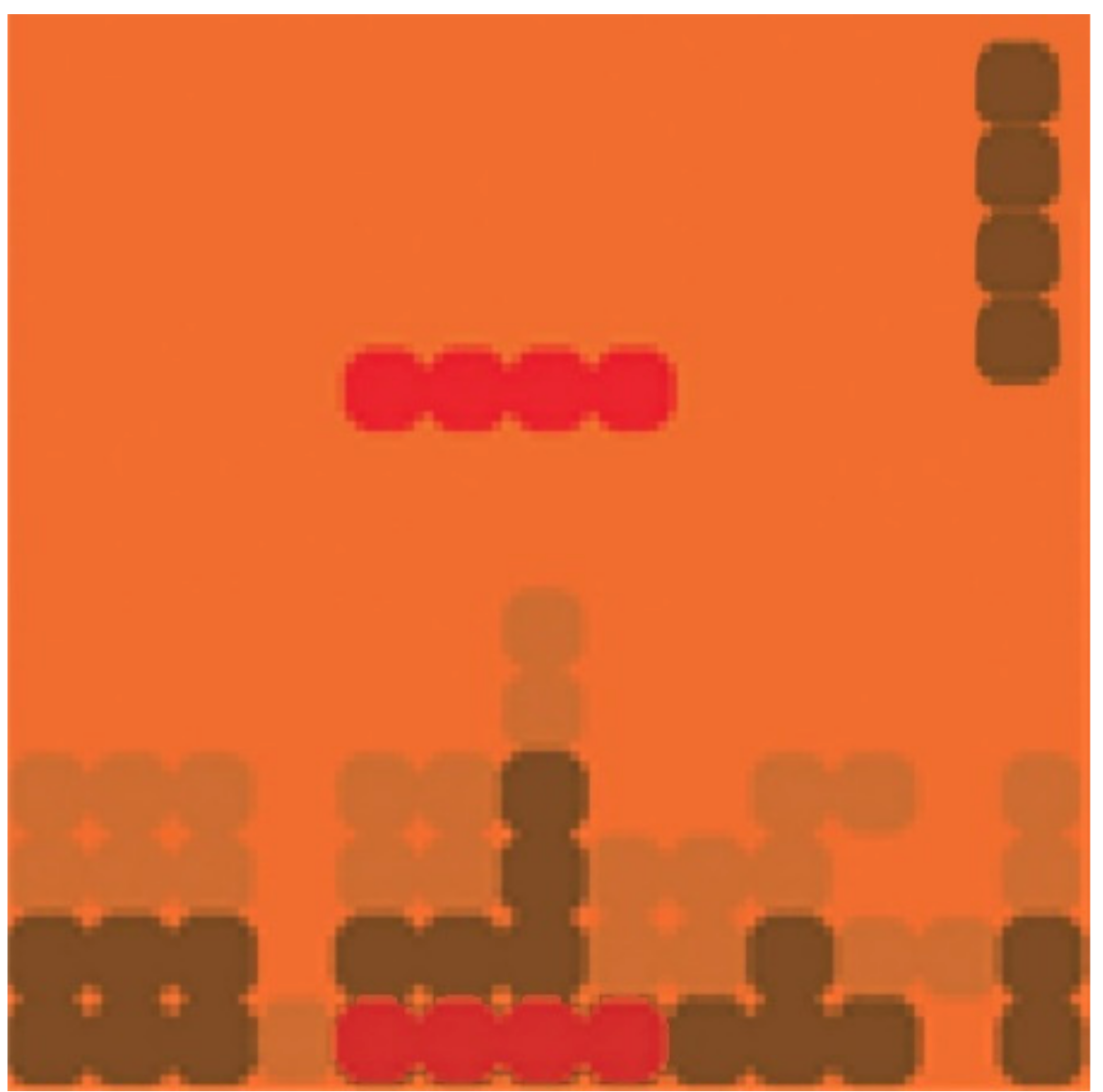 Vision 05 00031 g002