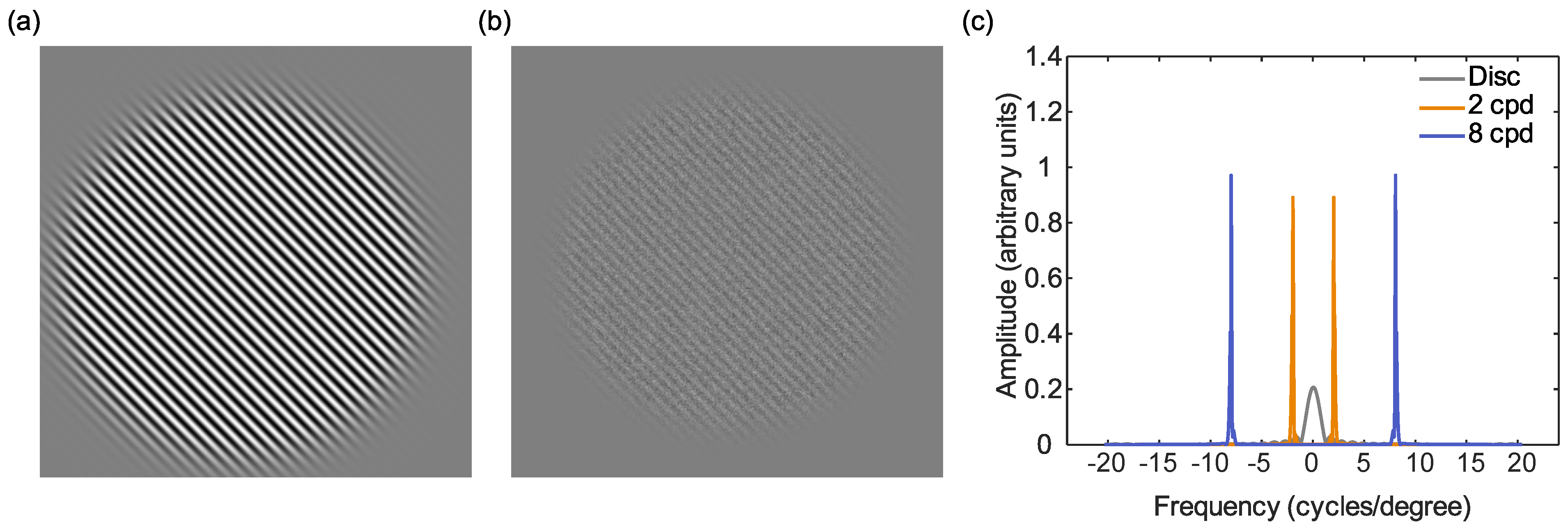 Vision 05 00032 g001 Vision 05 00032 g001