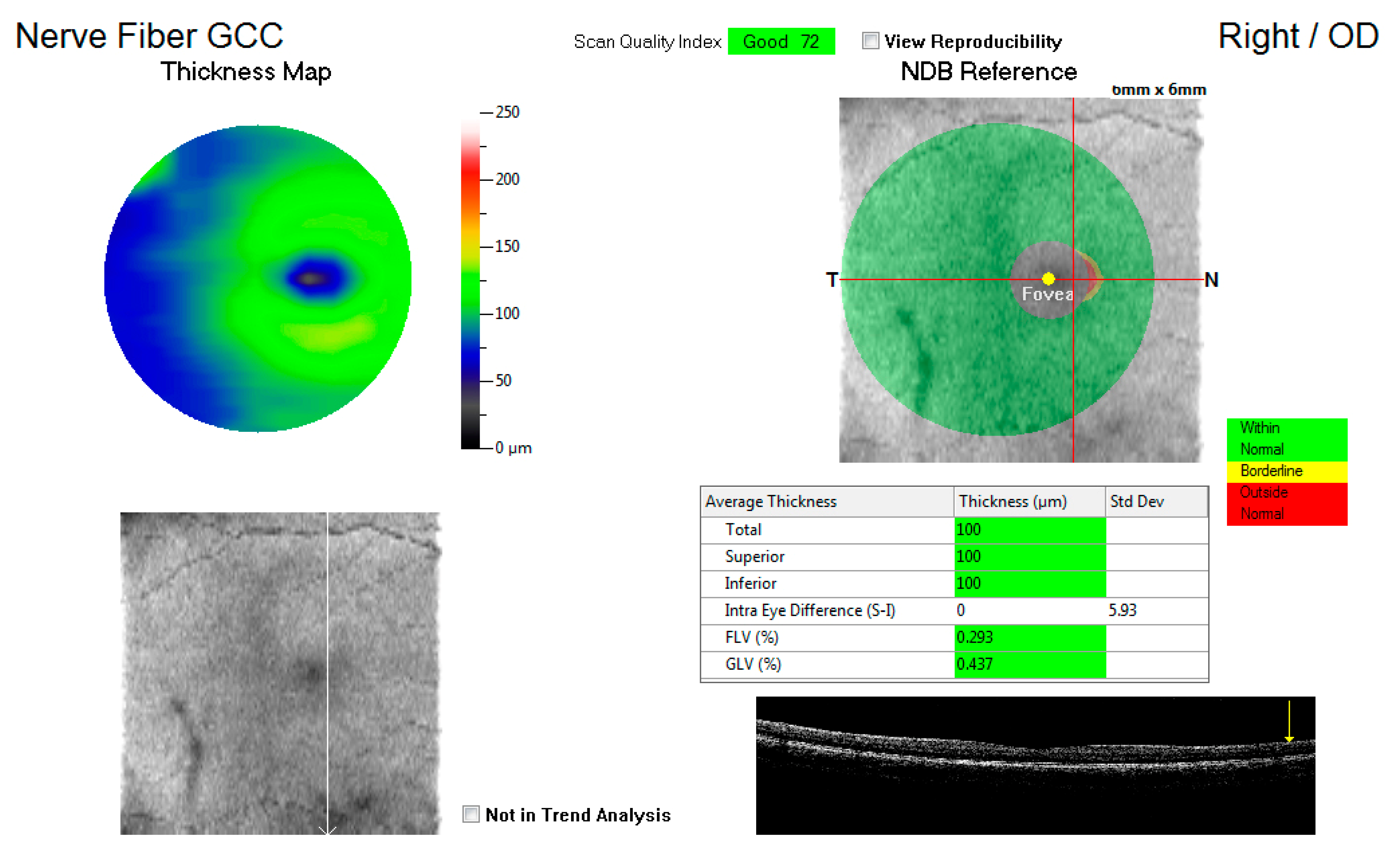 Vision 05 00036 g001