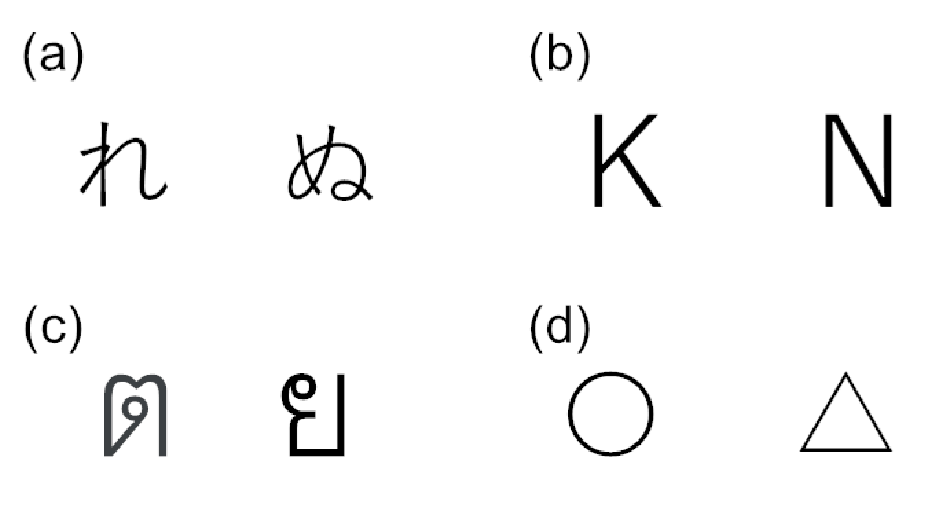 Vision 05 00049 g001