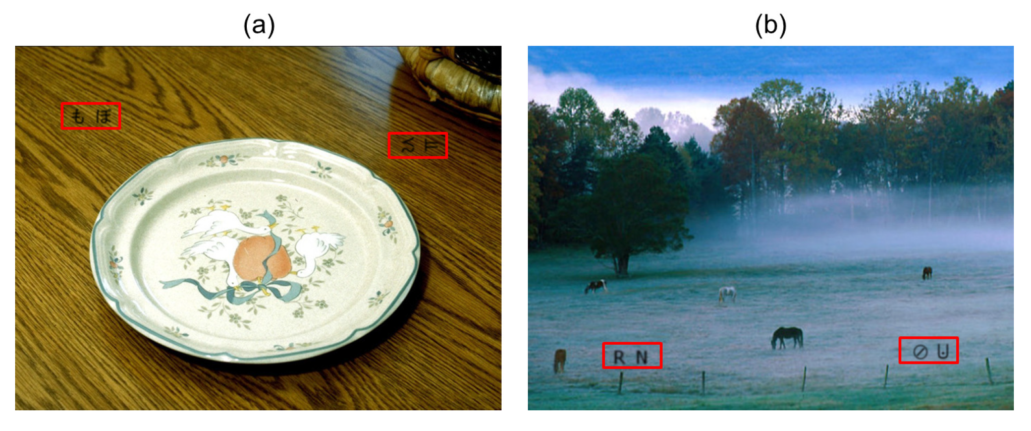 Vision 05 00049 g002