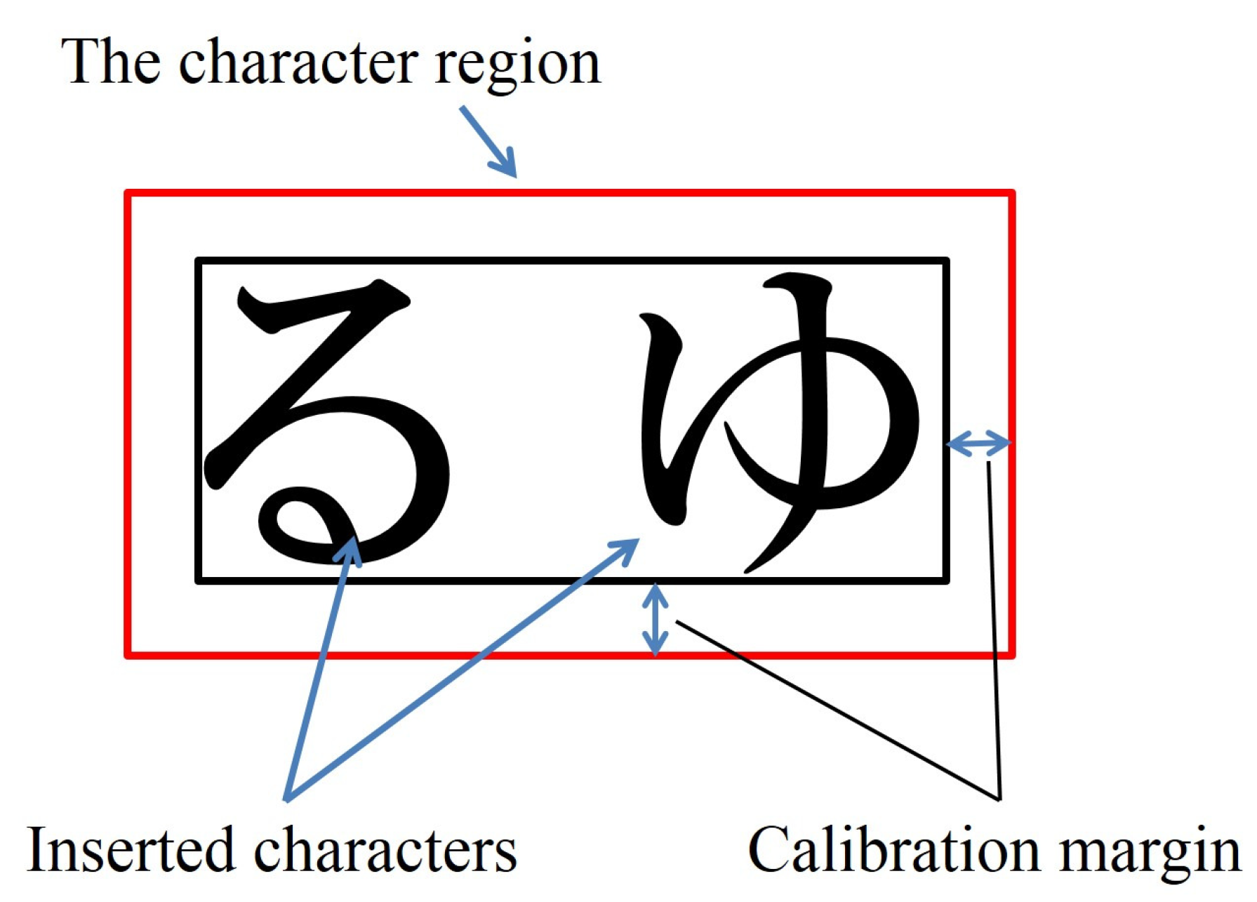 Vision 05 00049 g003