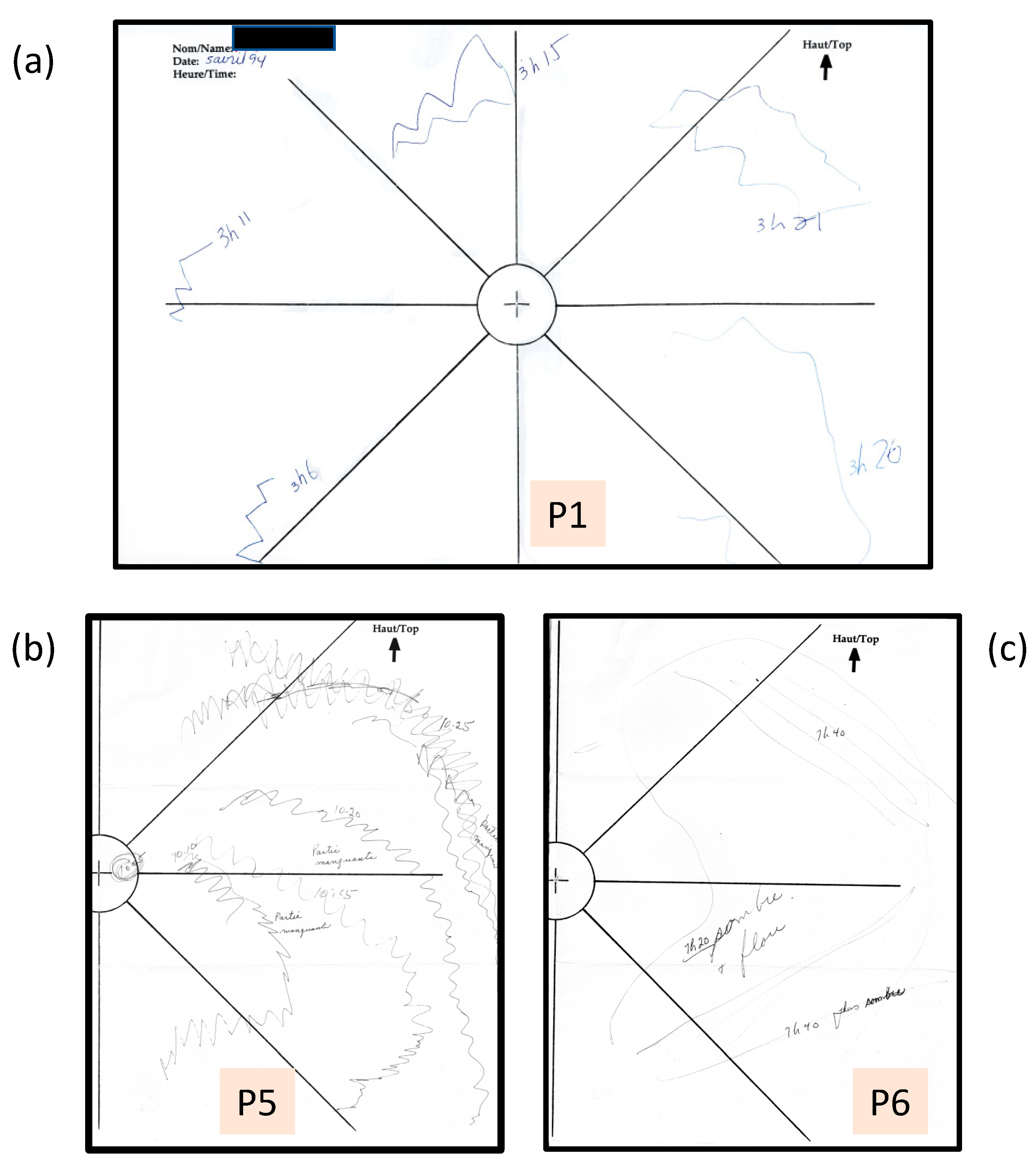 Vision 05 00052 g001