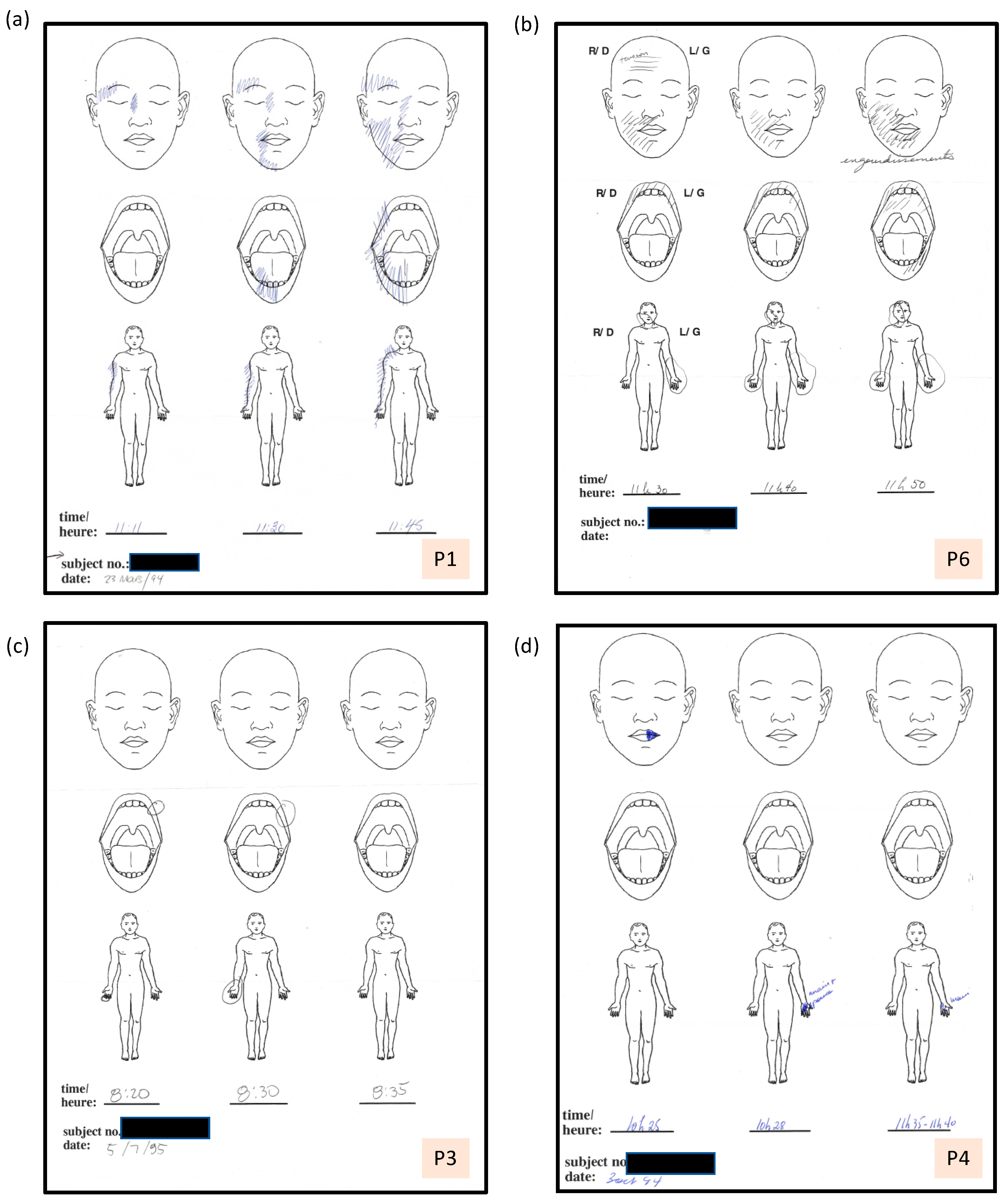 Vision 05 00052 g002