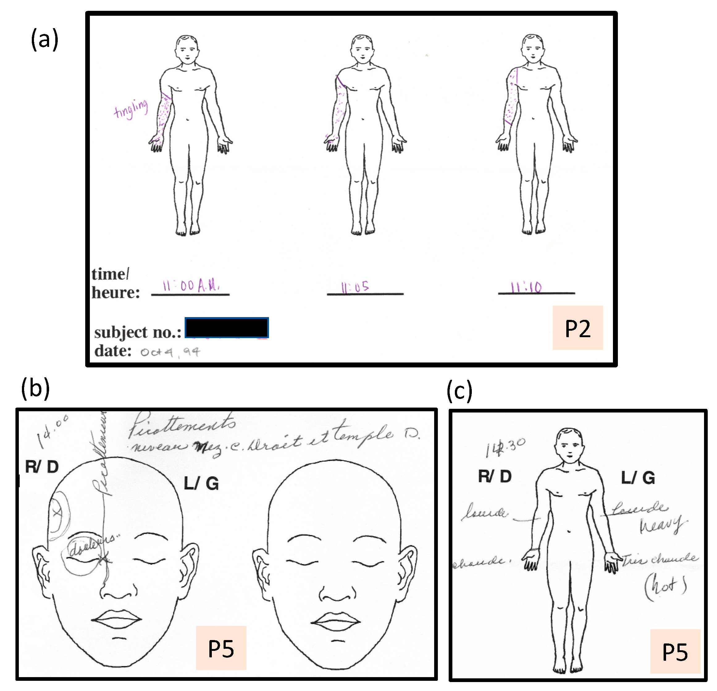 Vision 05 00052 g003