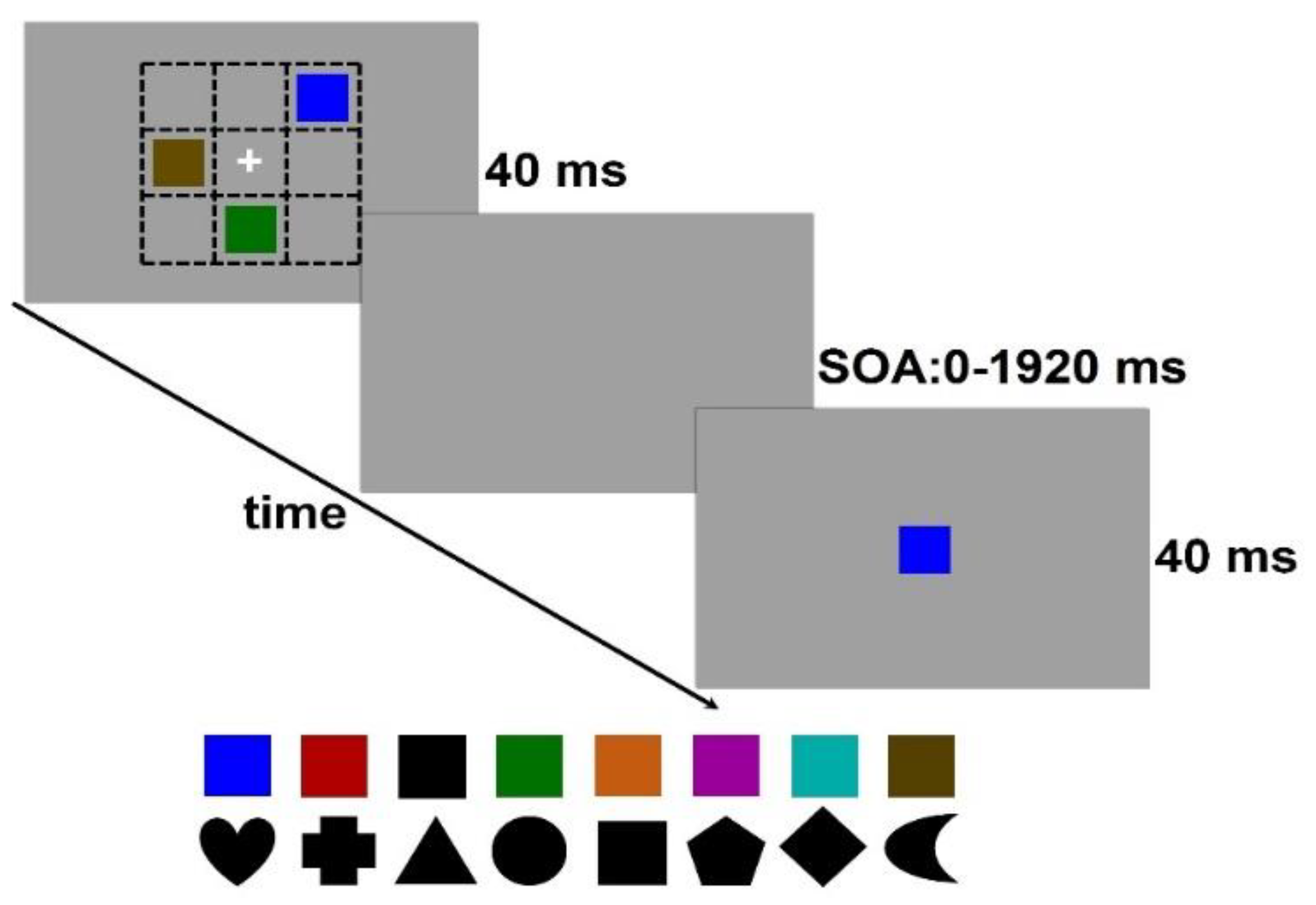 Vision 05 00053 g002