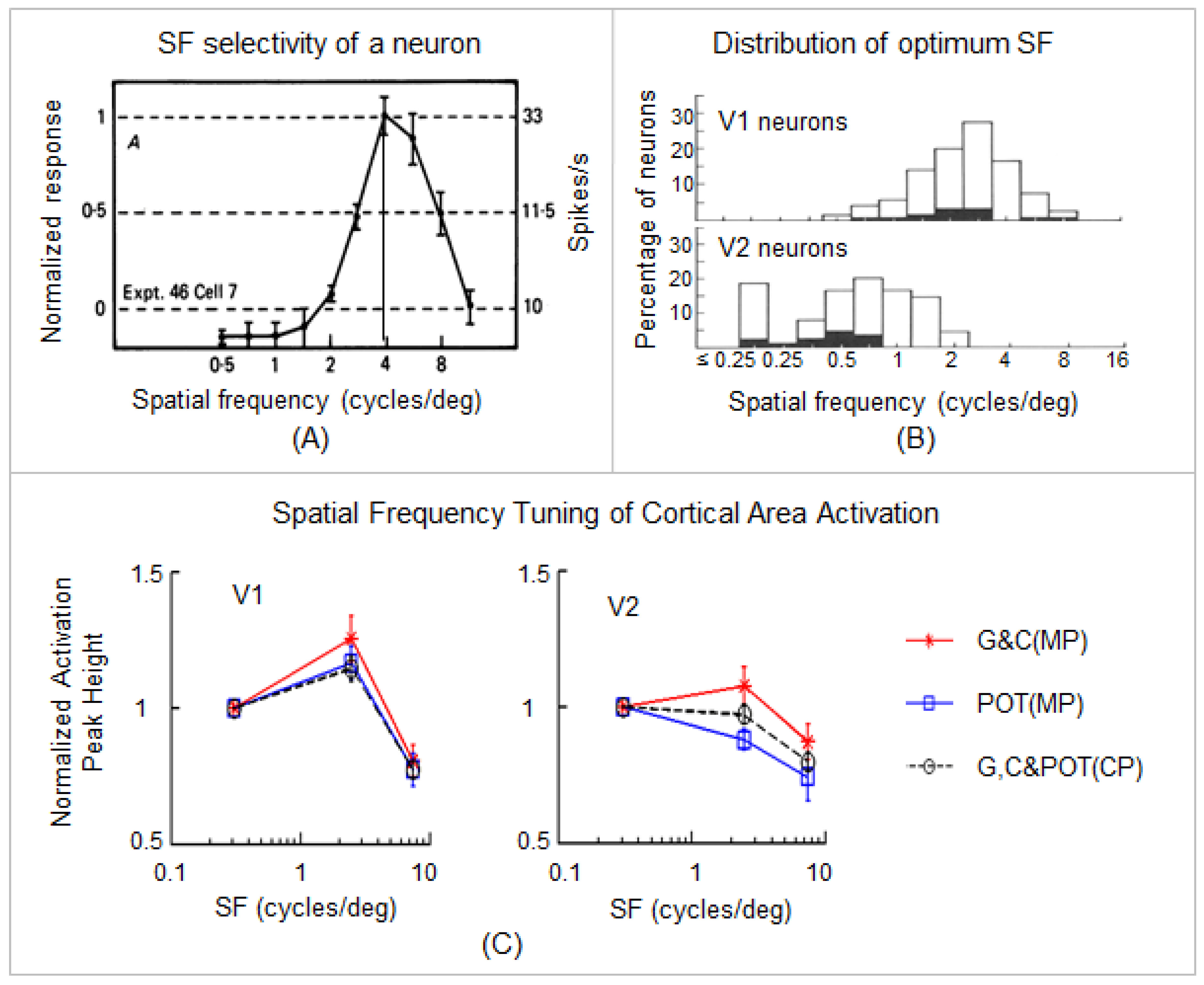 Vision 05 00057 g002