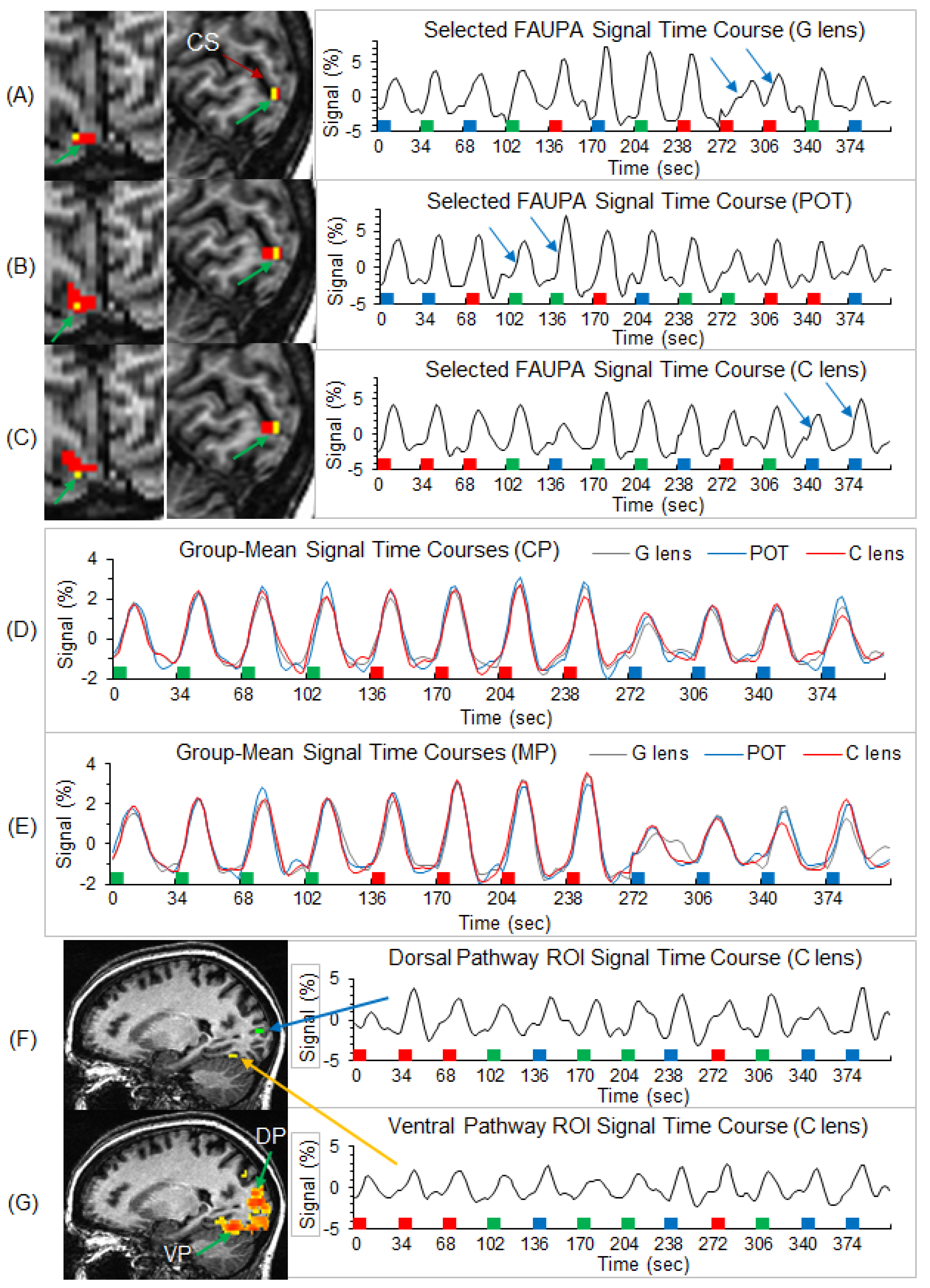 Vision 05 00057 g003