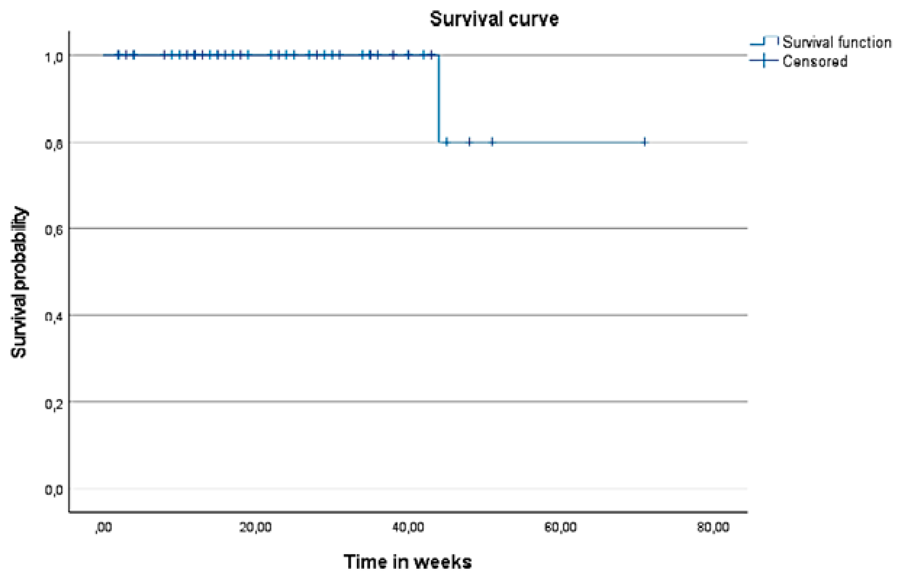 Vision 06 00004 g006 550