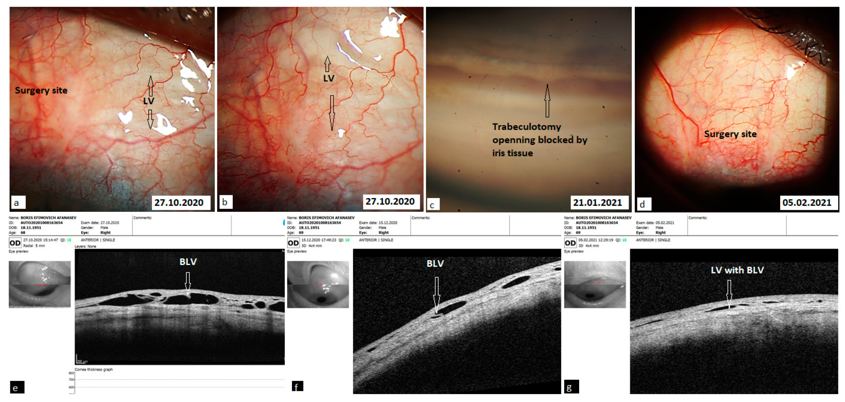 Vision 06 00004 g009 550