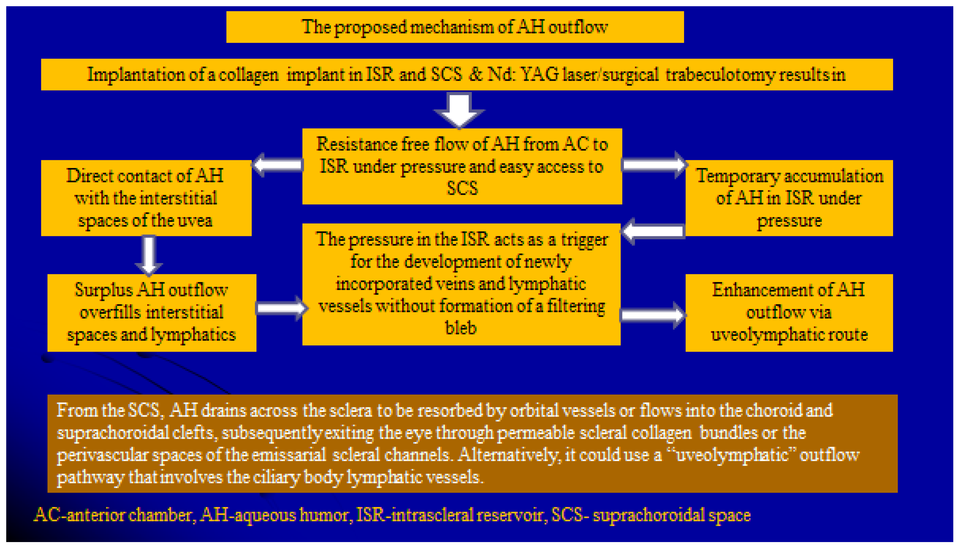 Vision 06 00004 g010 550