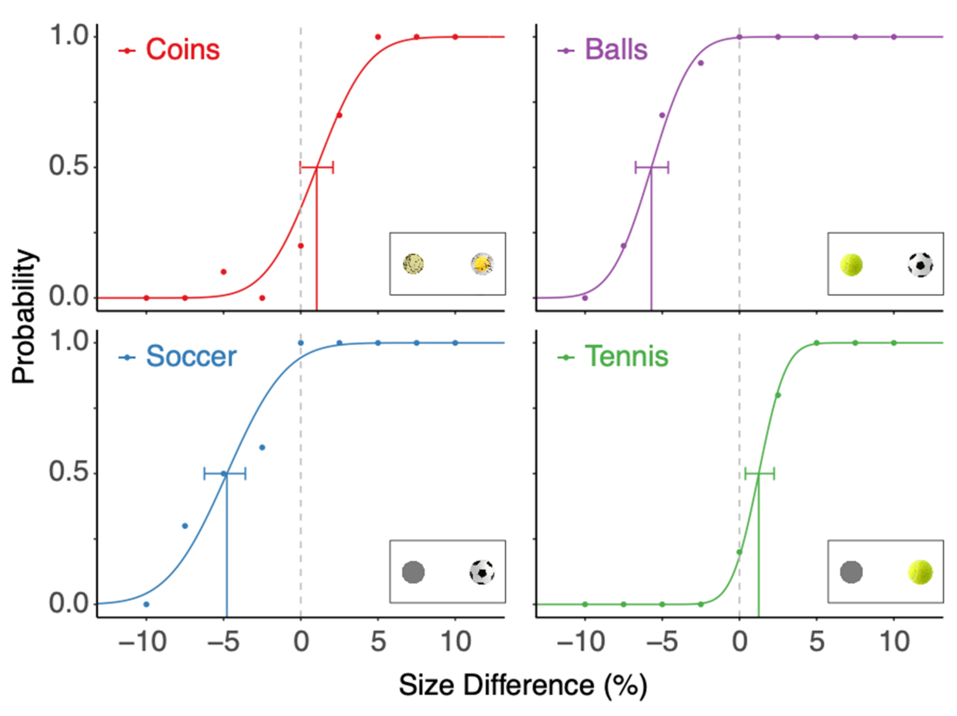 Vision 06 00014 g002