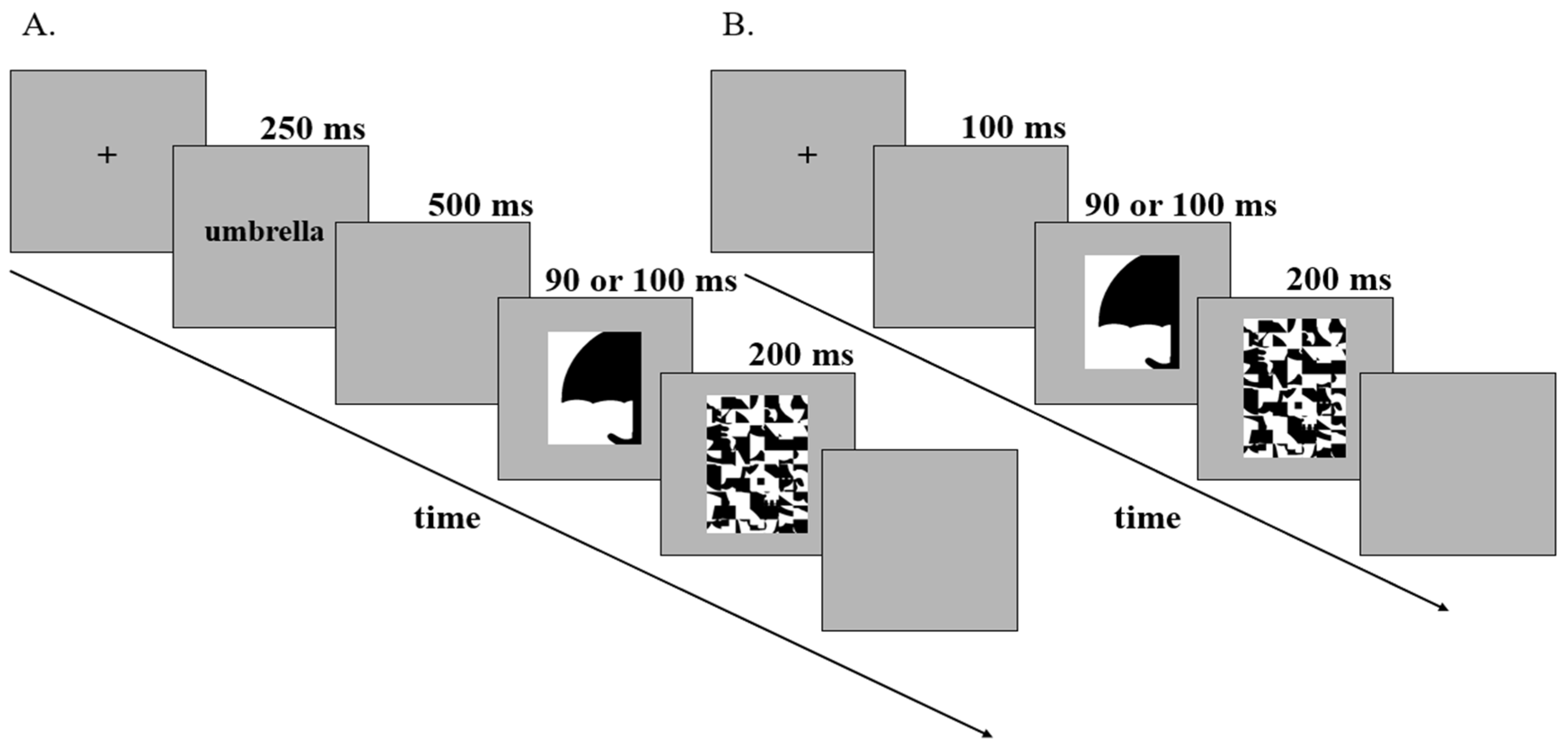Vision 06 00019 g002 Vision 06 00019 g002