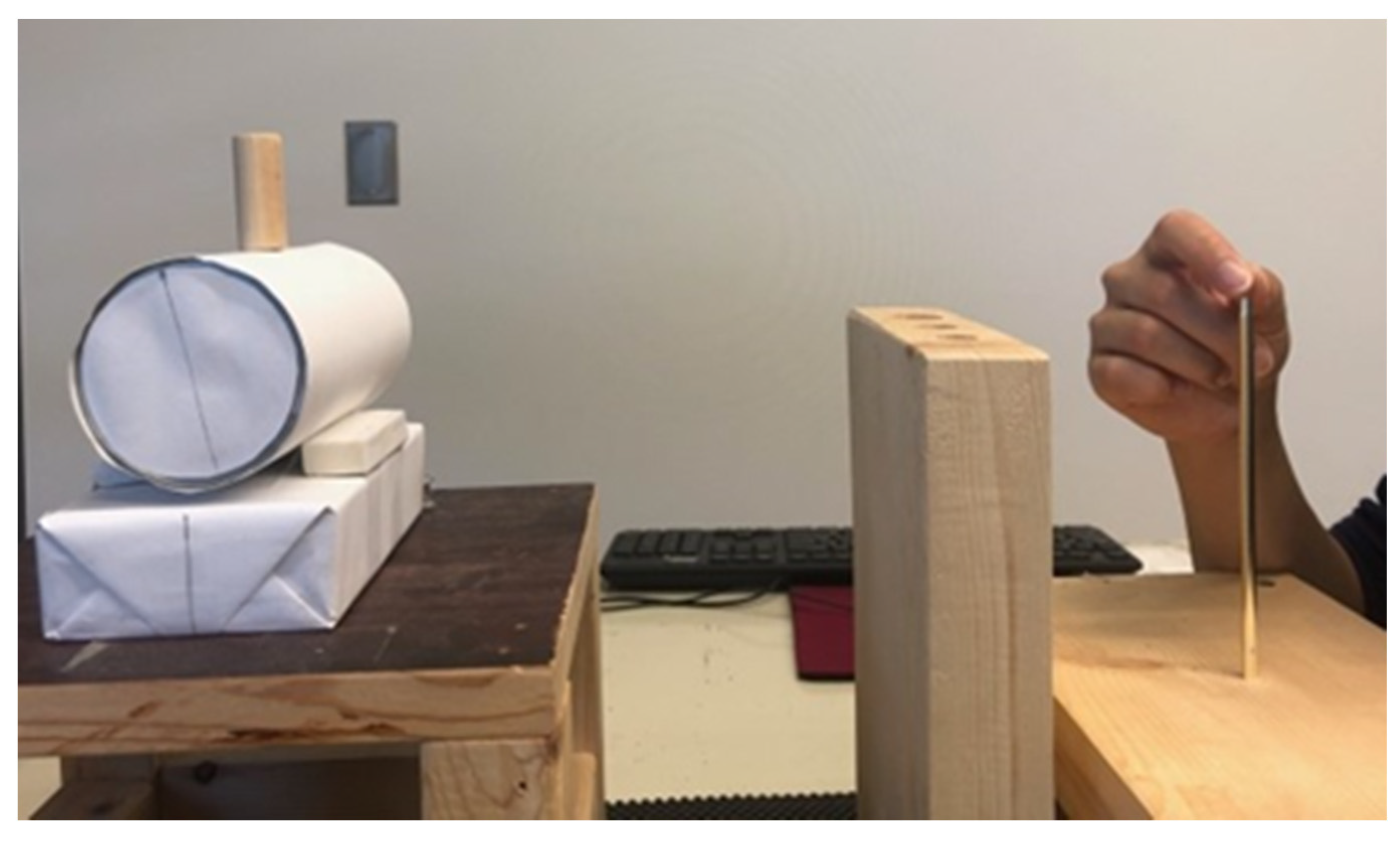 Vision 06 00023 g001 Vision 06 00023 g001