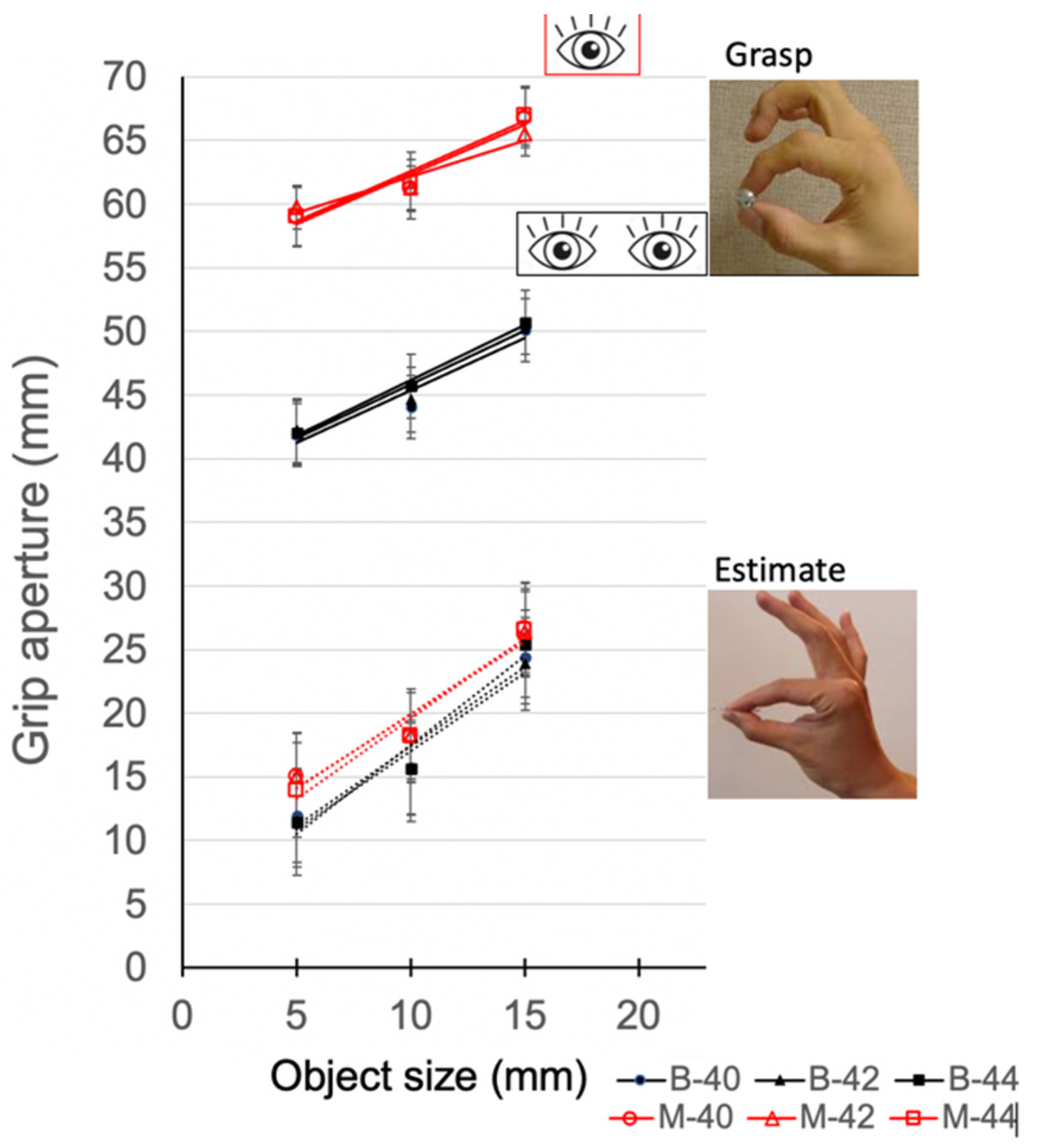 Vision 06 00023 g002 Vision 06 00023 g002