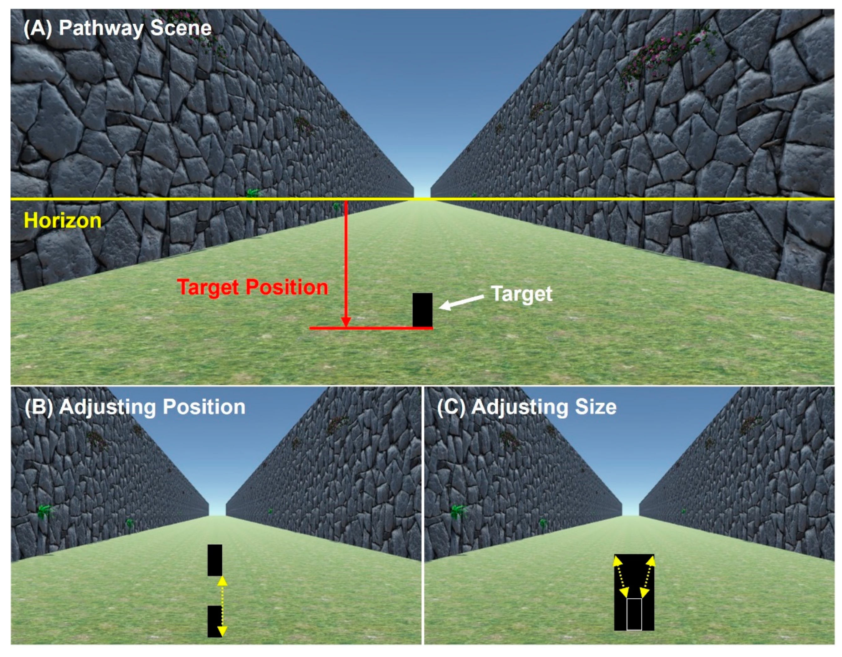 What is 2D vision like?