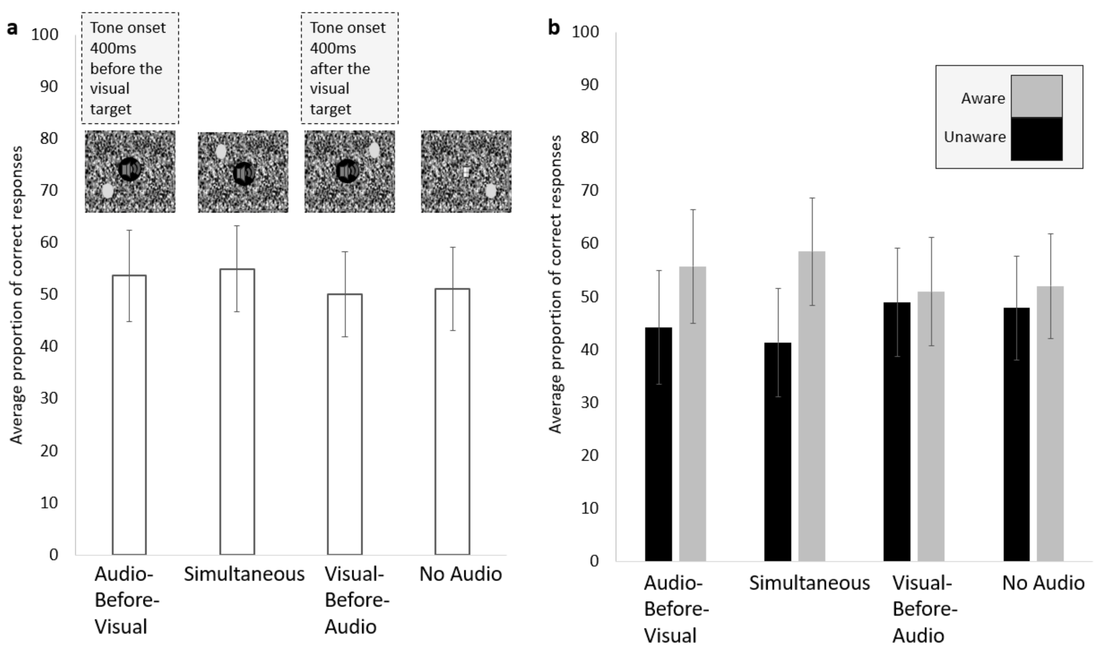Vision 06 00031 g005