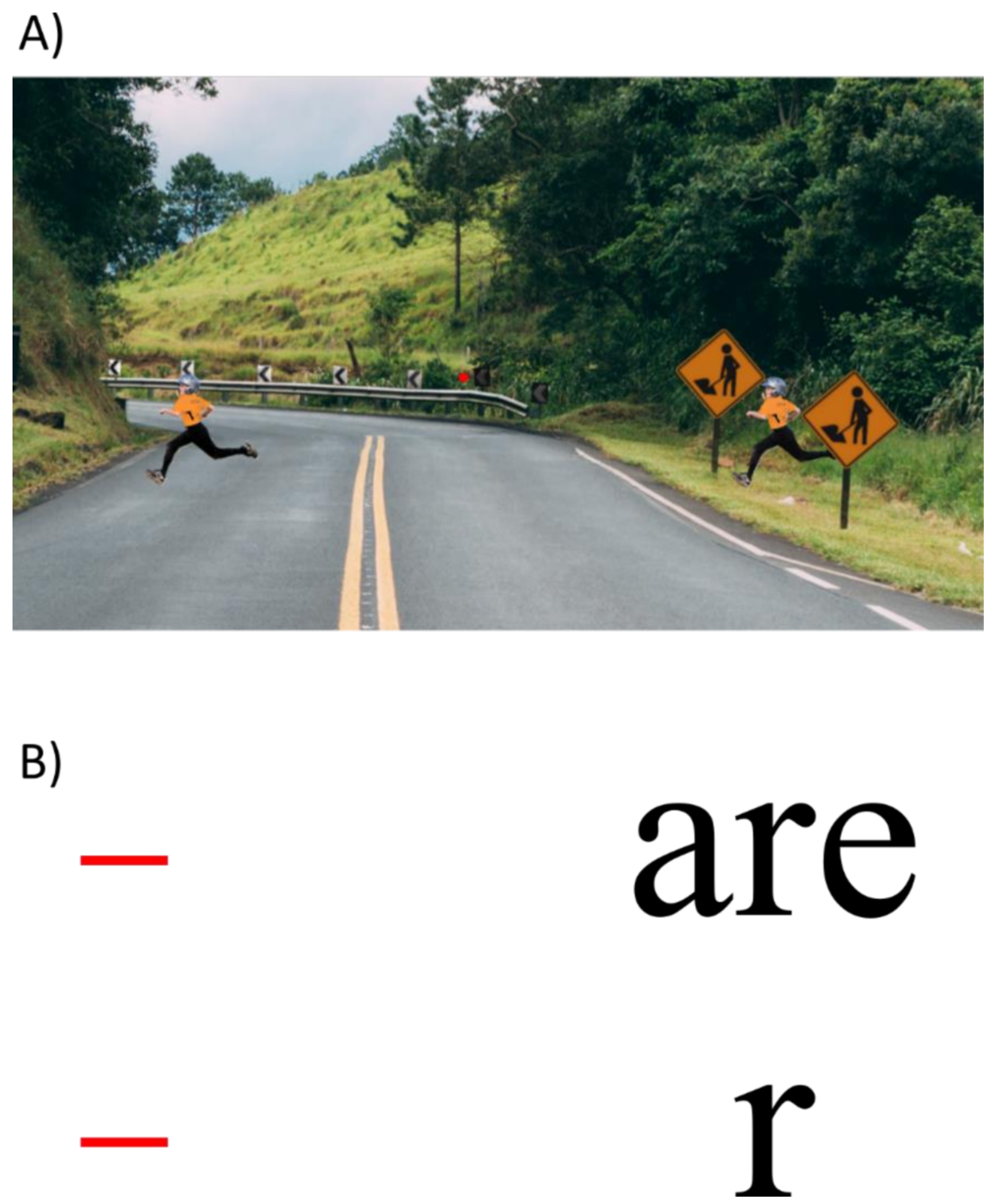 Vision 06 00035 g006