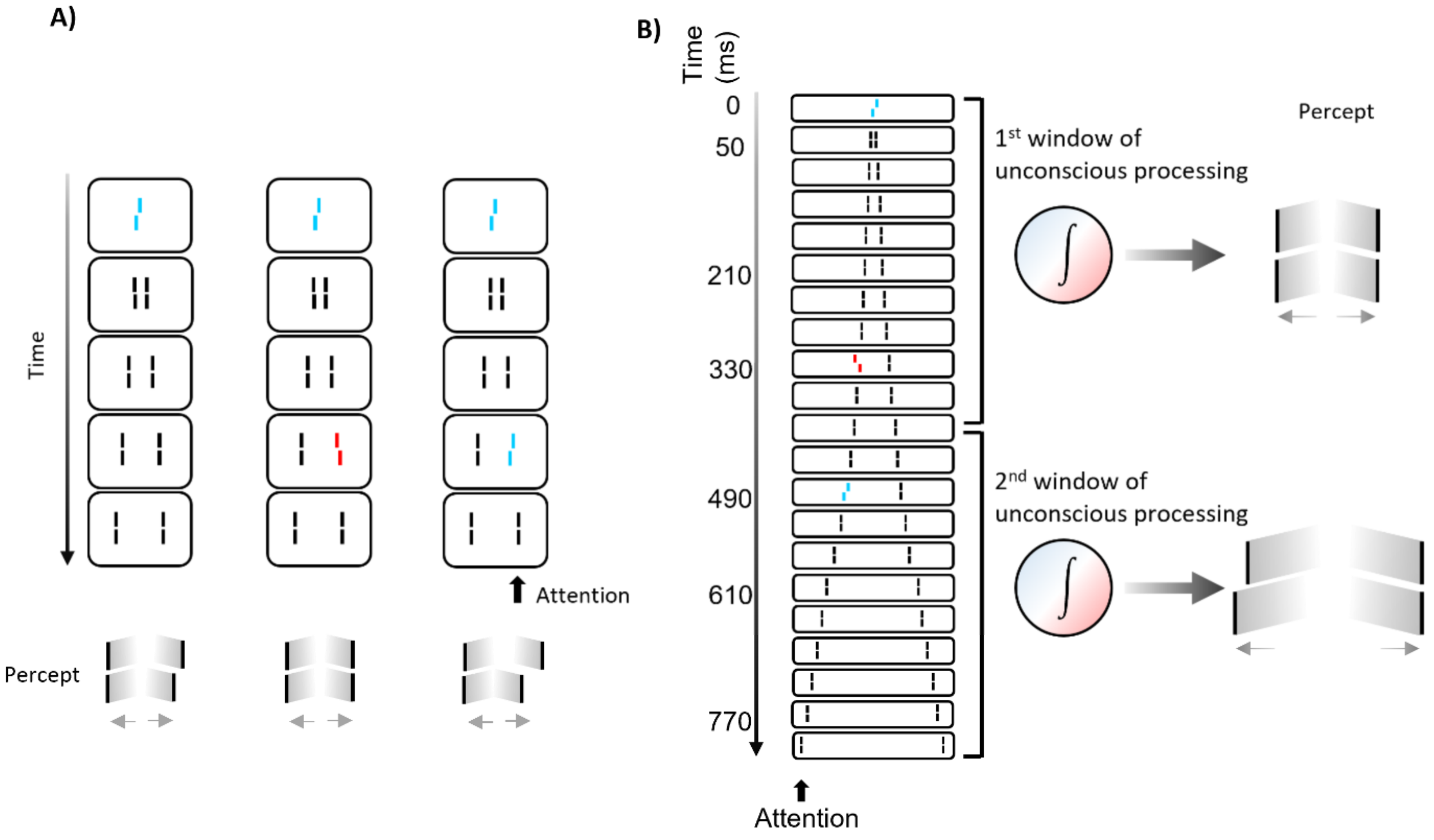 Vision 06 00035 g011